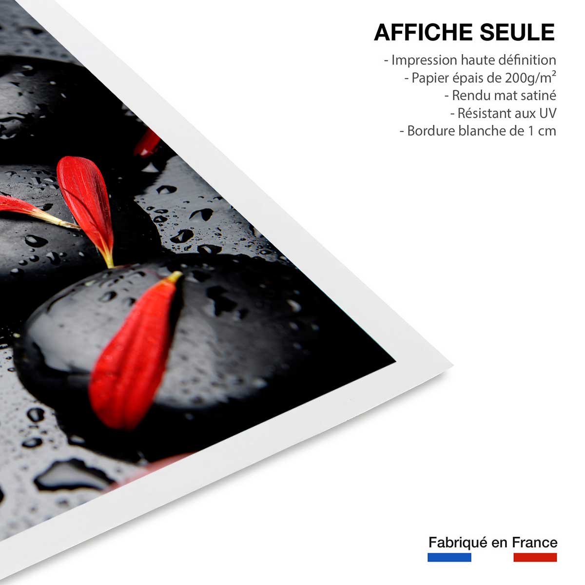 Poster zen petales rouges affiche seule, HEXOA