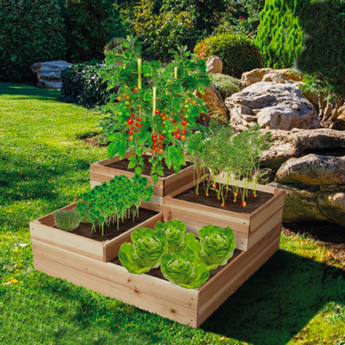 Carré potager en bois 4 niveaux 80x80x37.5cm bois, SUNNYDAYS