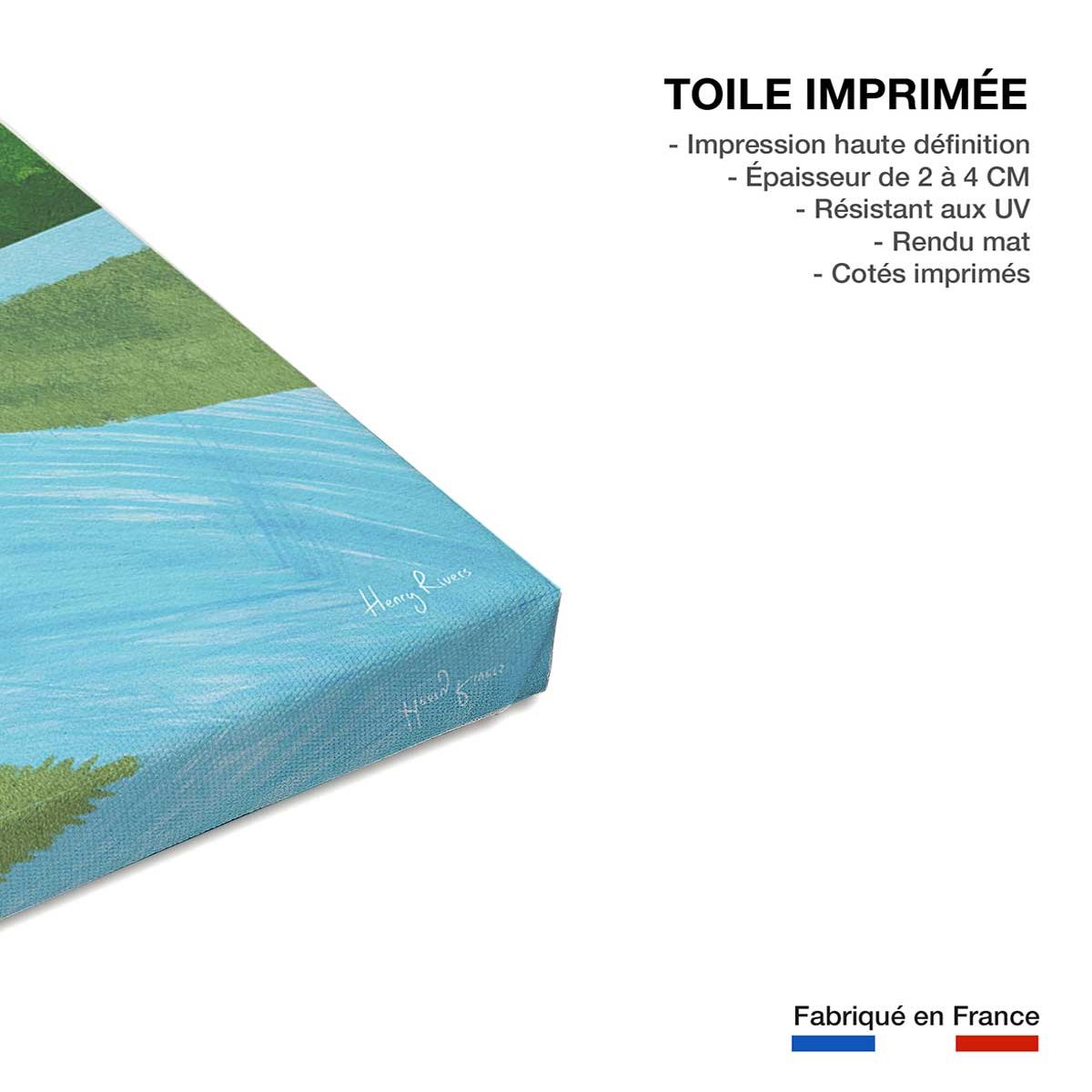 Tableau retro vintage paddle toile imprimée, HEXOA
