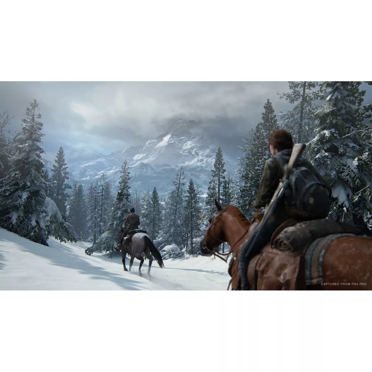 Jeu Ps4 The Last Of Us 2 couleur unique, SONY