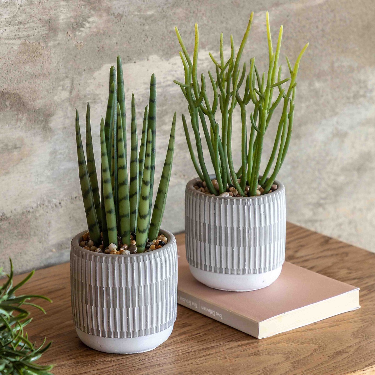 Set of 2 Small Succulents in Ceramic Pots natural, ÉDITÉ