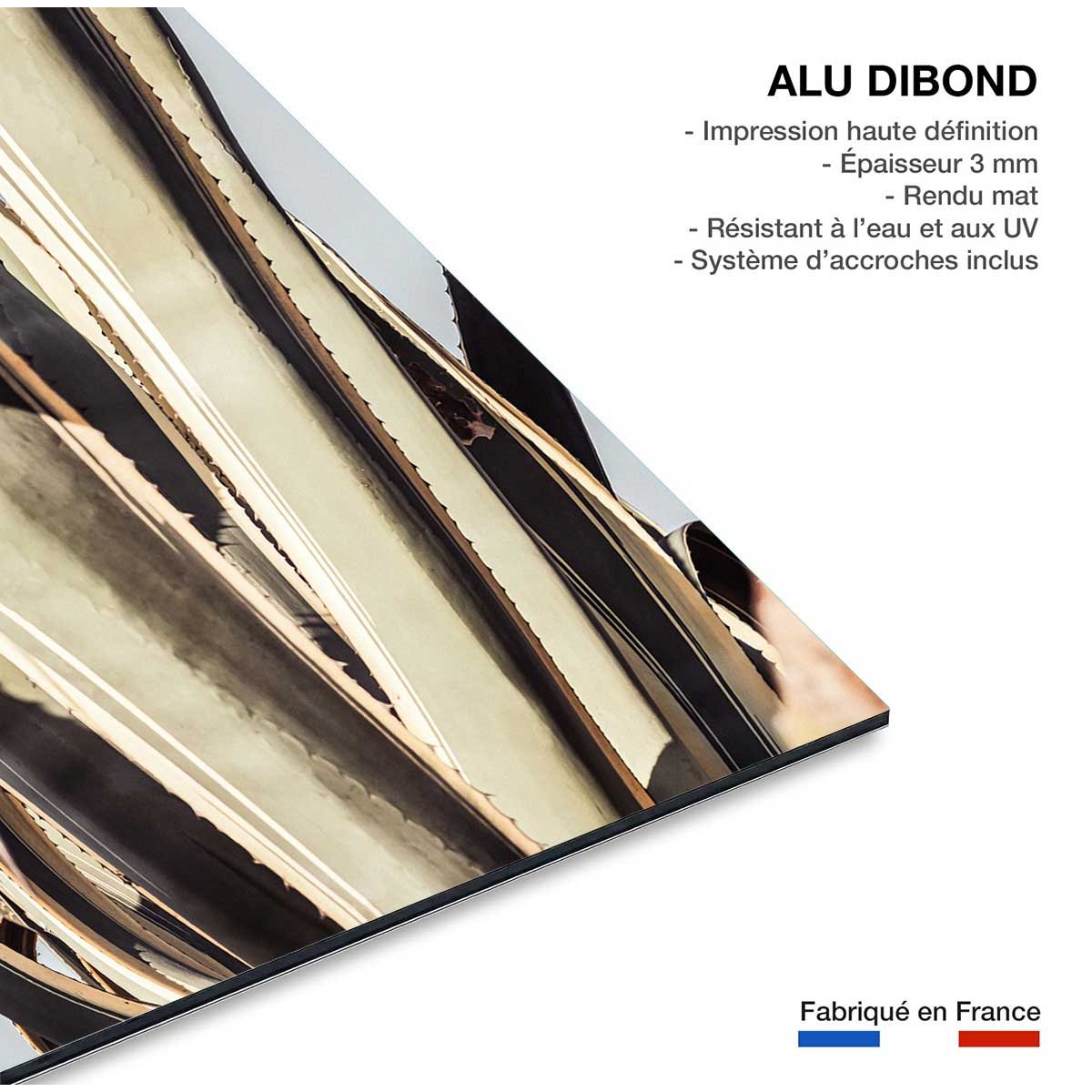 Tableau cactus mexicain tableau alu dibond, HEXOA