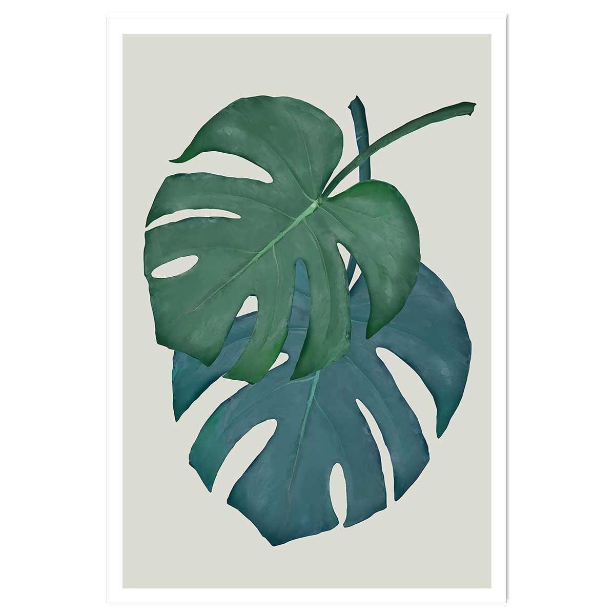 Affiche Monstera turquoise affiche seule, HEXOA