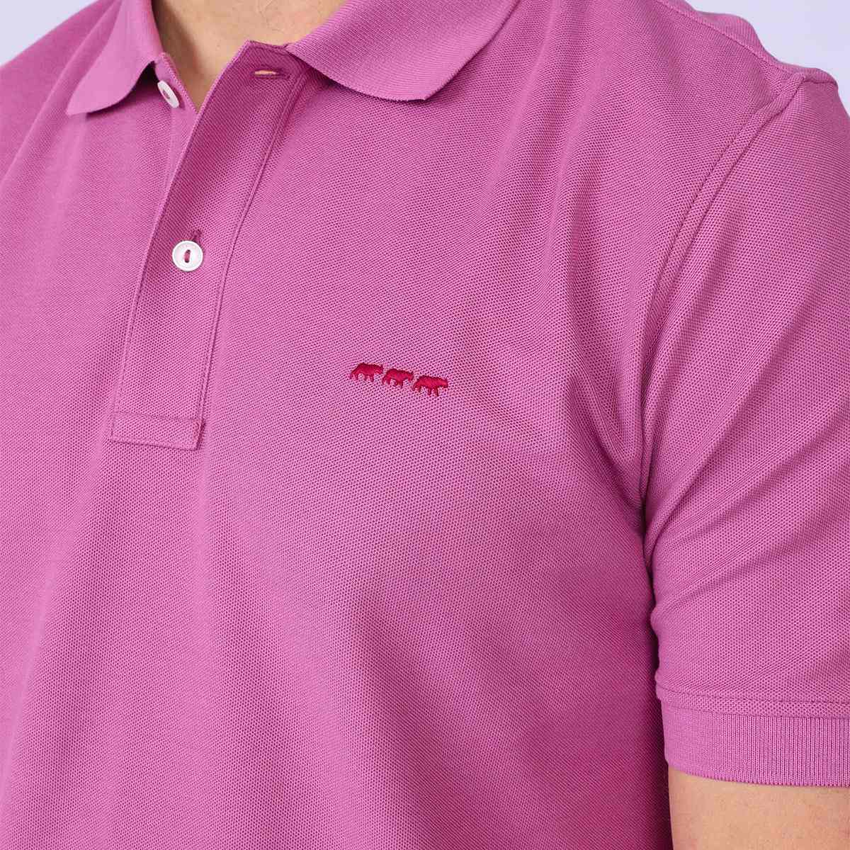 Polo Collin mauve, MISE AU GREEN