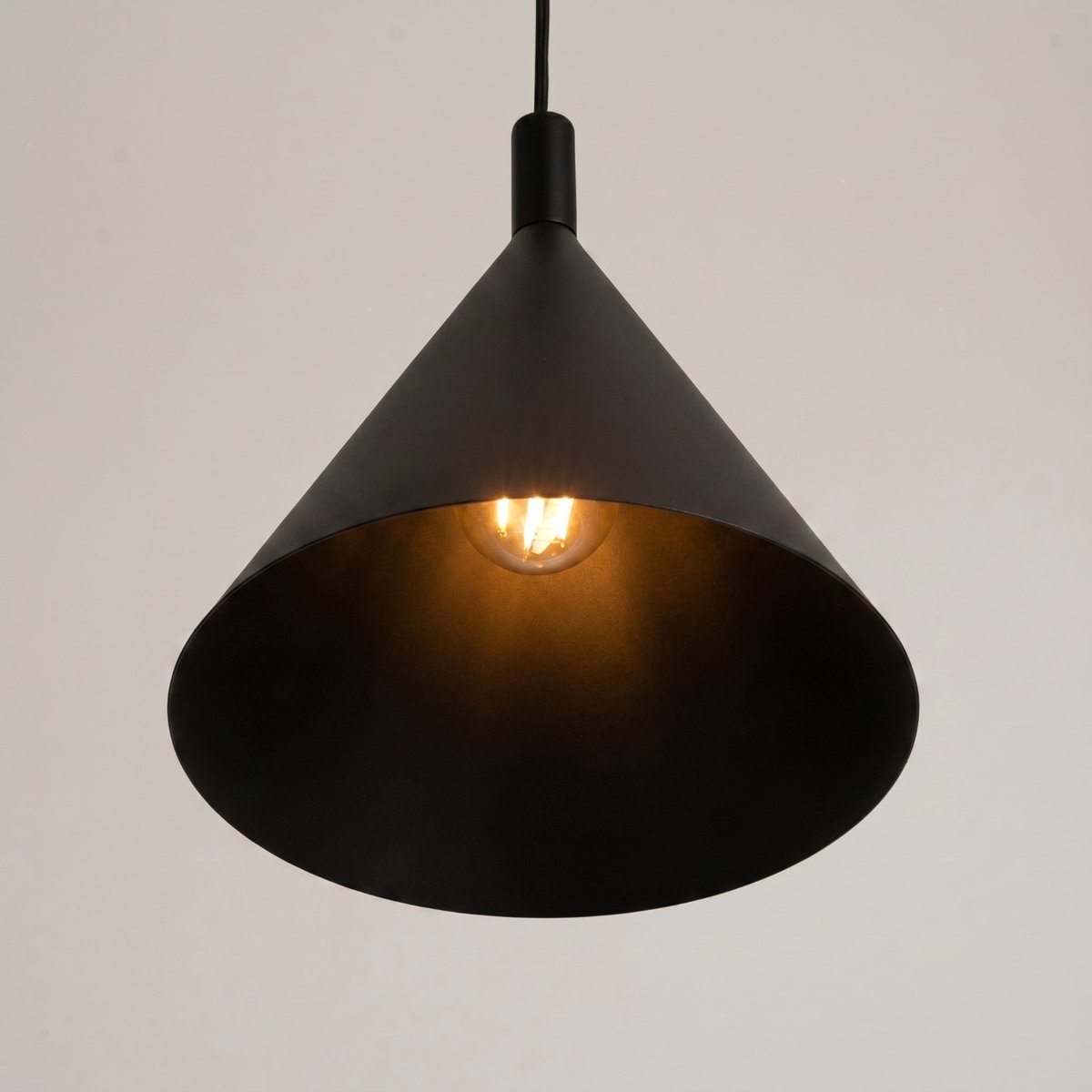 Suspension Acier Noir E27 1 NOX noir, EDEN