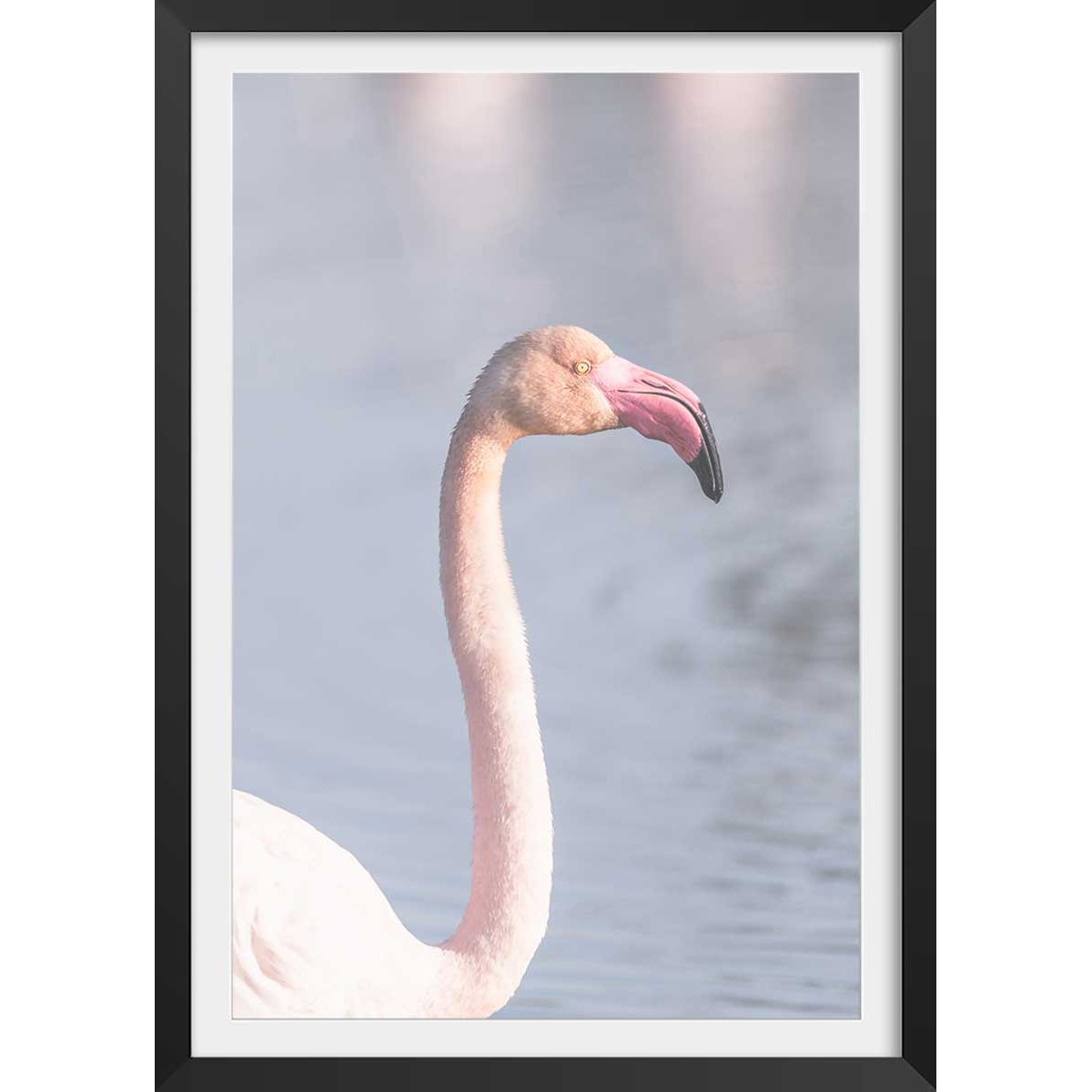 Affiche pastel pink flamingo affiche + cadre en bois - noir, HEXOA
