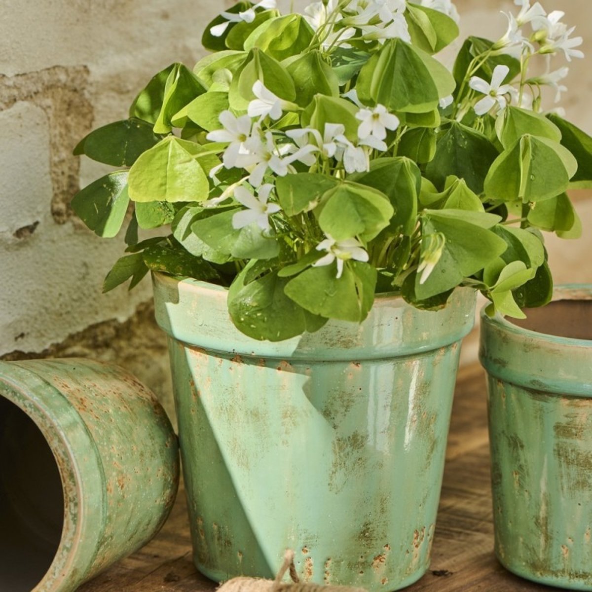 Cache-pot céramique vieillie vert, IB LAURSEN