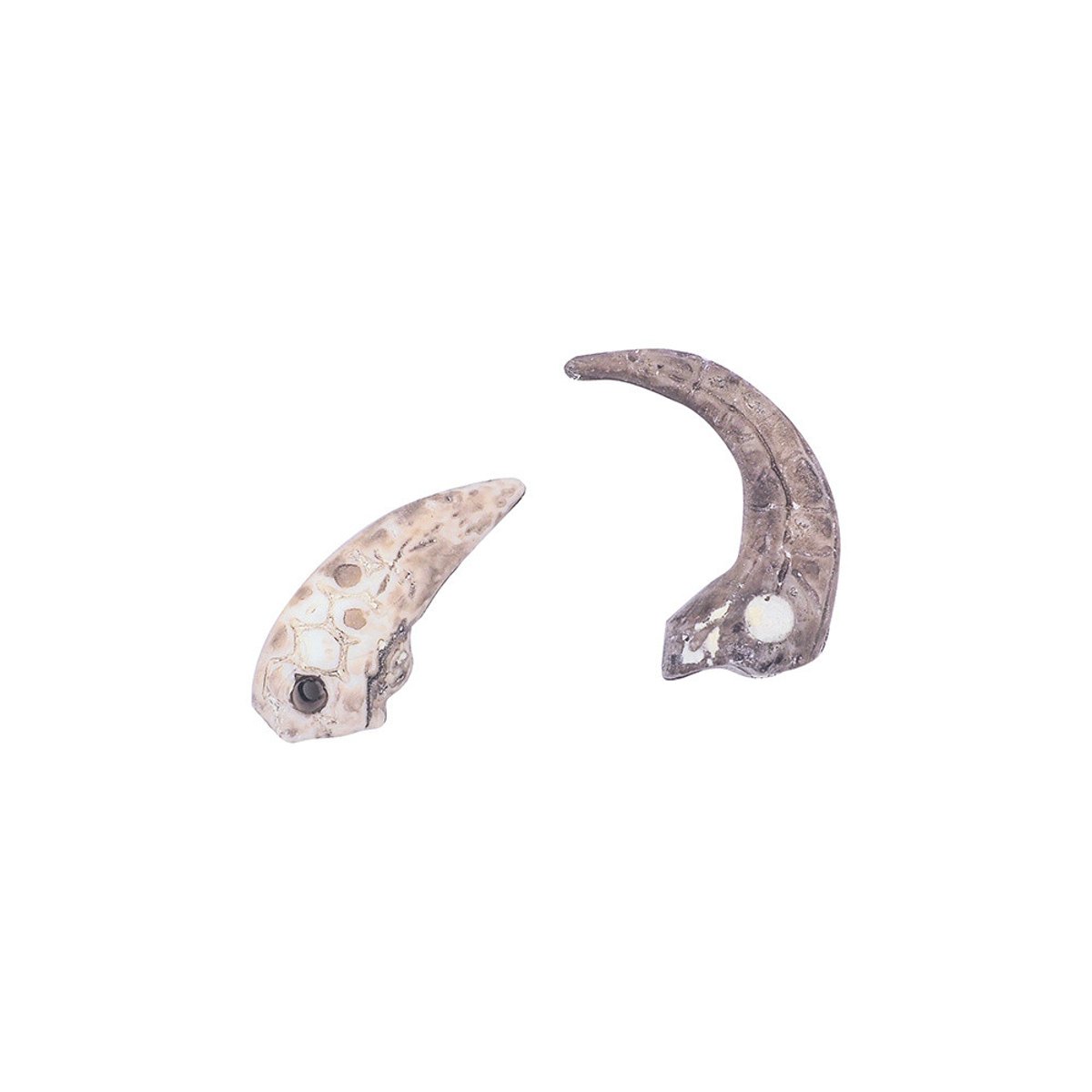 Mallette Explorateur Jurassic Explorer couleur unique, JANOD