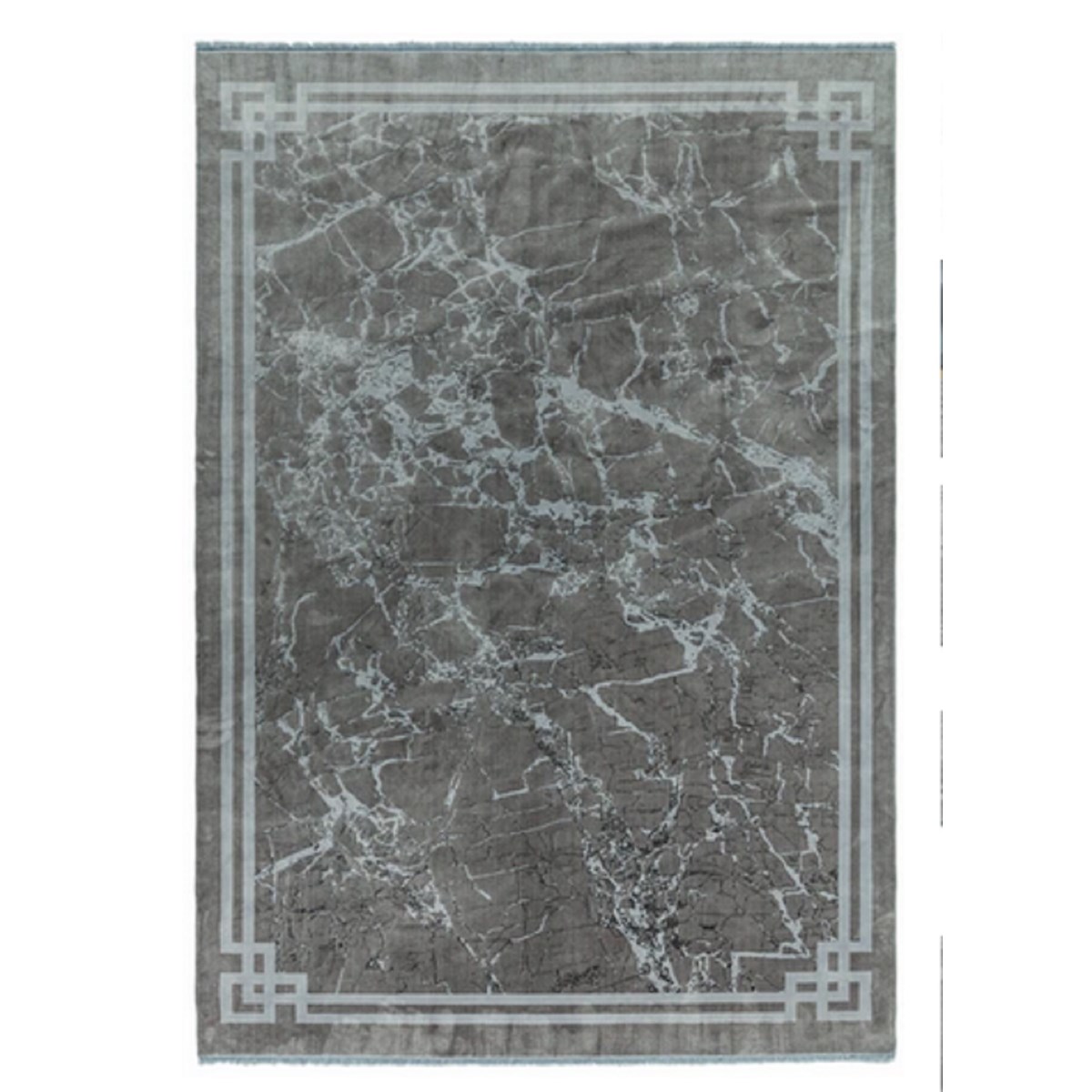 Tapis moderne tissé plat RAYA BORDER argent, NOVATREND