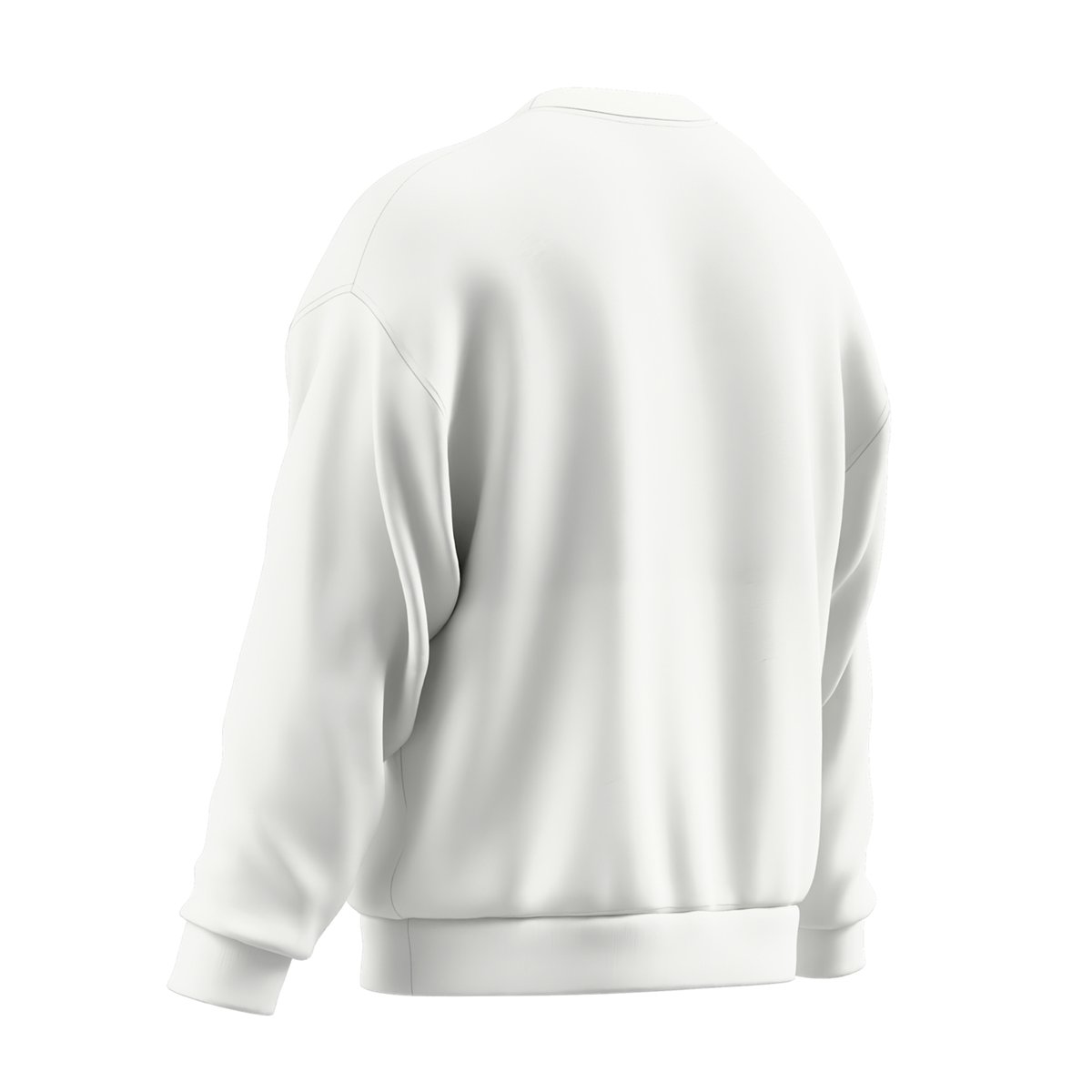 Sweat uni col ras-du-cou TEAM blanc, SPEEDO