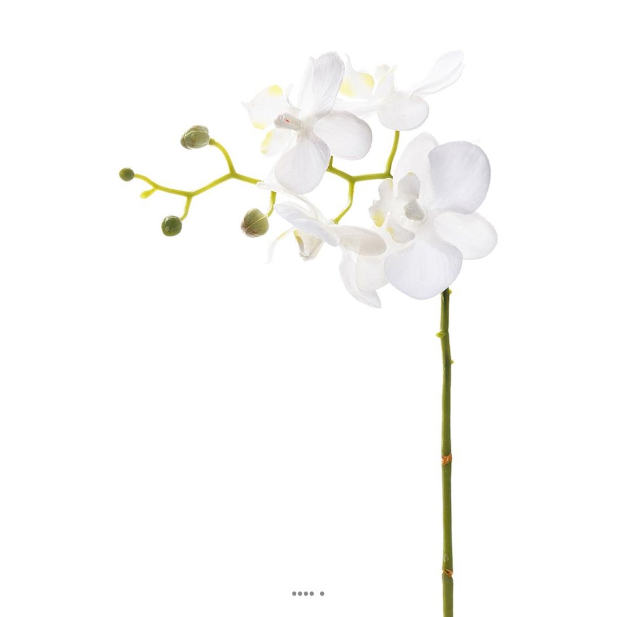 Orchidee Phalaenopsis Artificiel Blanc H 30 v002227, ARTIFICIELLES