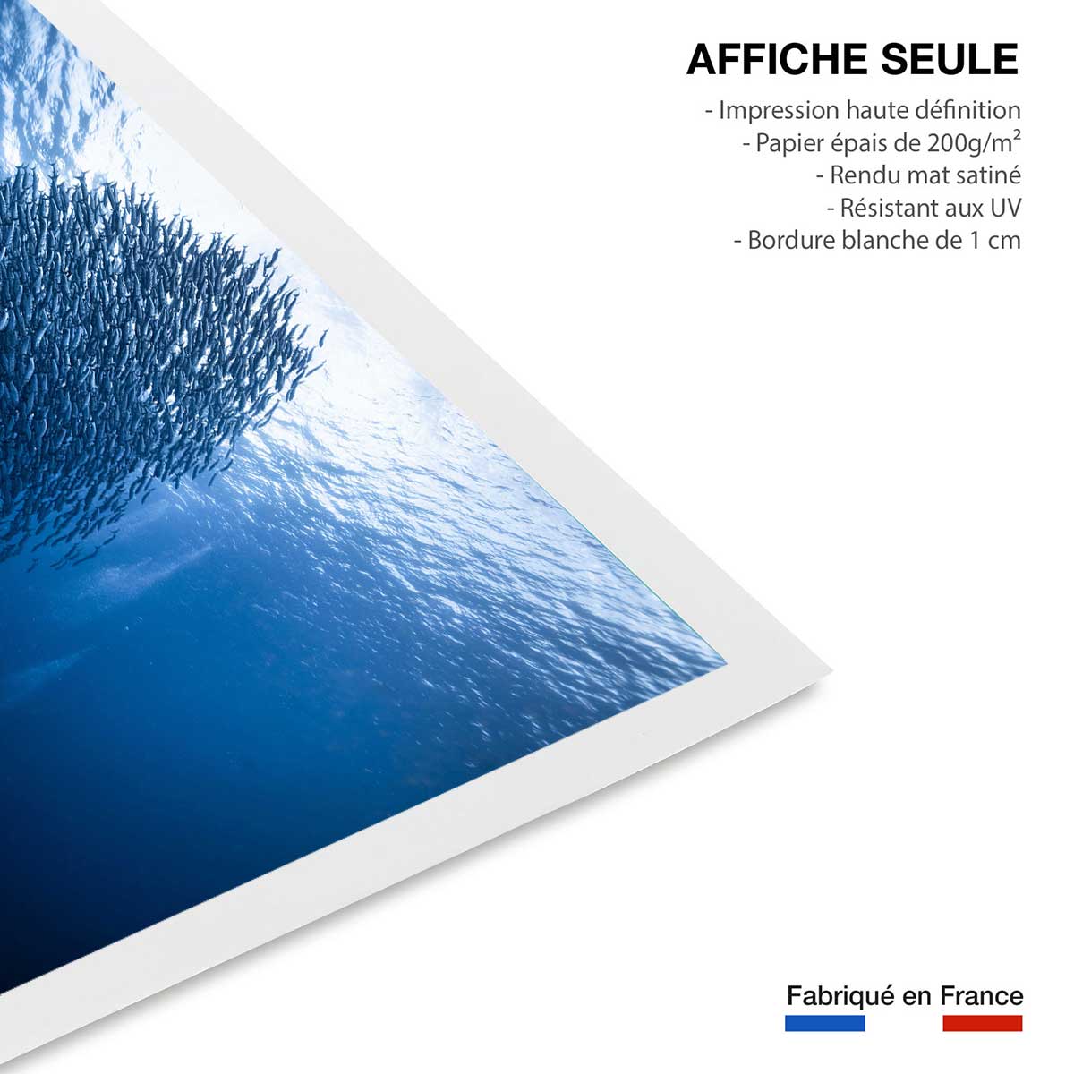 Affiche Masse bleue affiche seule, HEXOA