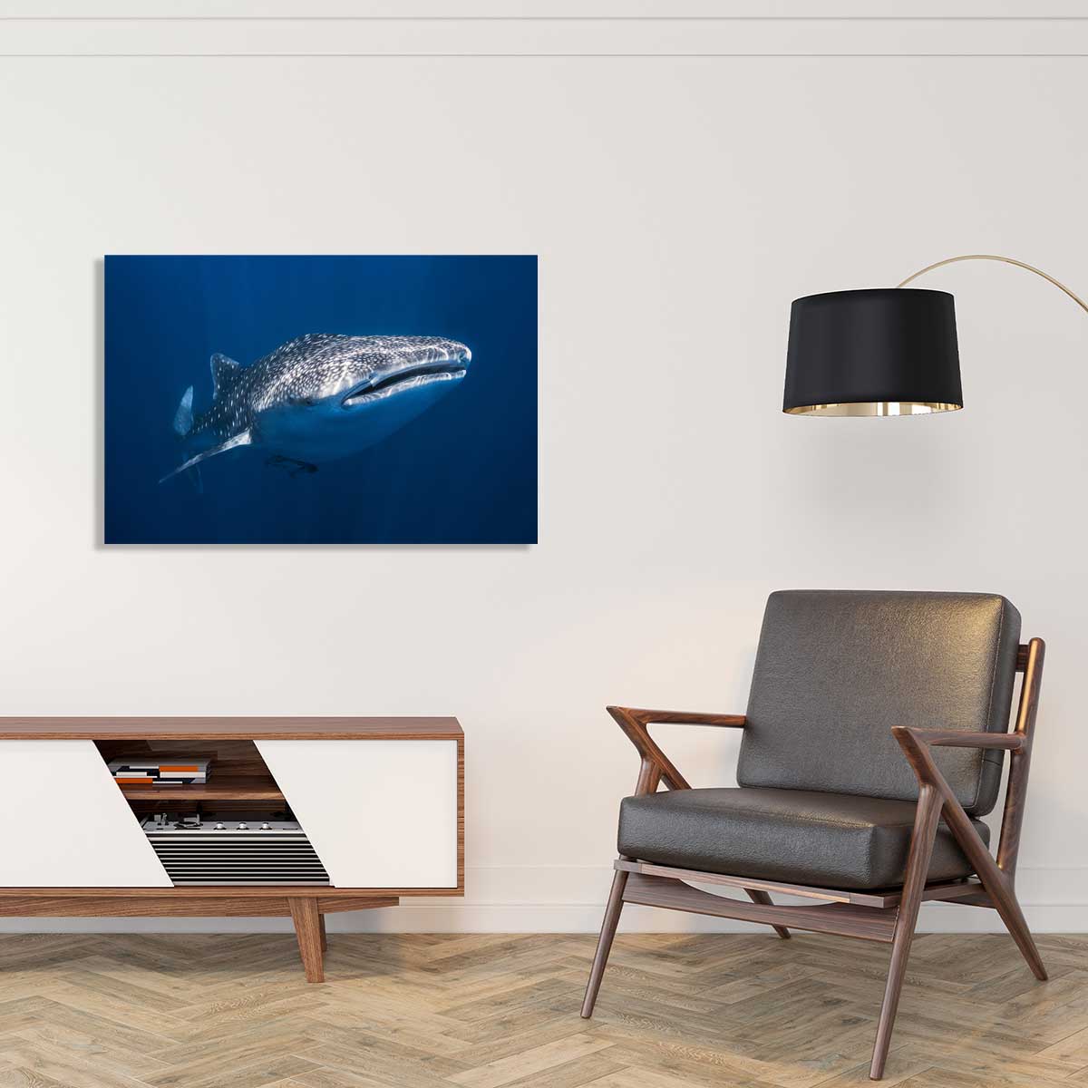 Tableau Requin baleine tableau alu dibond, HEXOA