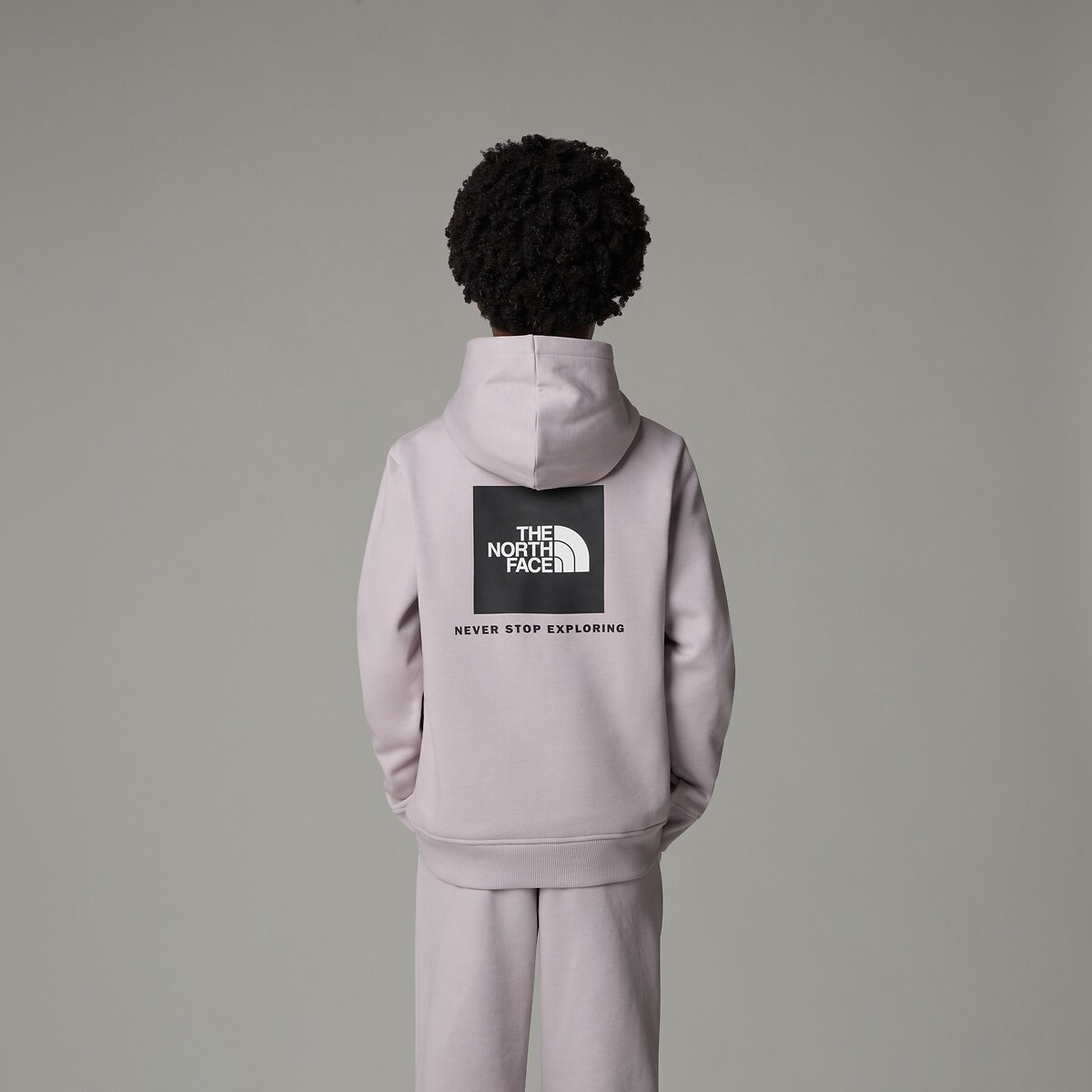Hoodie, fleece, logo voor en achter lichtgrijs, THE NORTH FACE