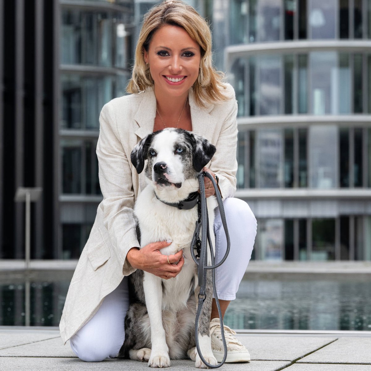 Collier chien en cuir AMICI gris, LABONI
