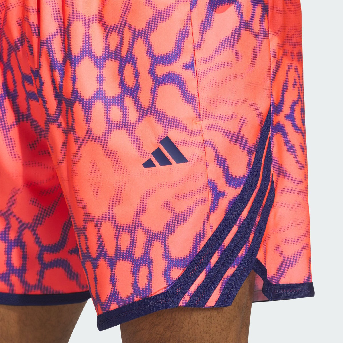 Short Graphique Crazylite Short Graphique Crazylite solar turbo, adidas Performance