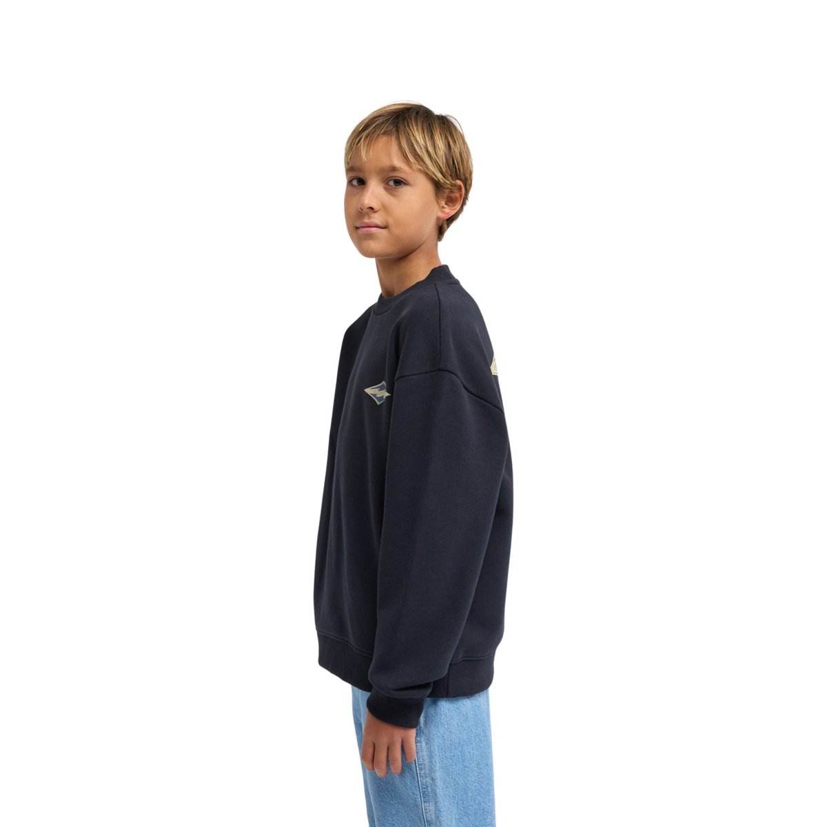 Sweat à capuche FOUNDATION noir black, BILLABONG