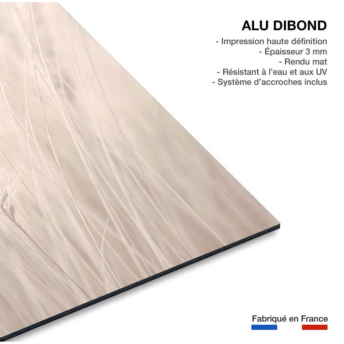 Tableau blé poudré tableau alu dibond, HEXOA