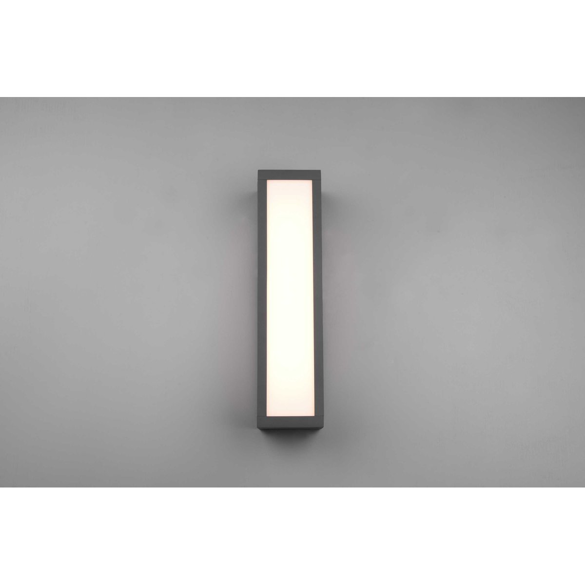 Lampe murale pour jardin Fuerte anthracite, TRIO