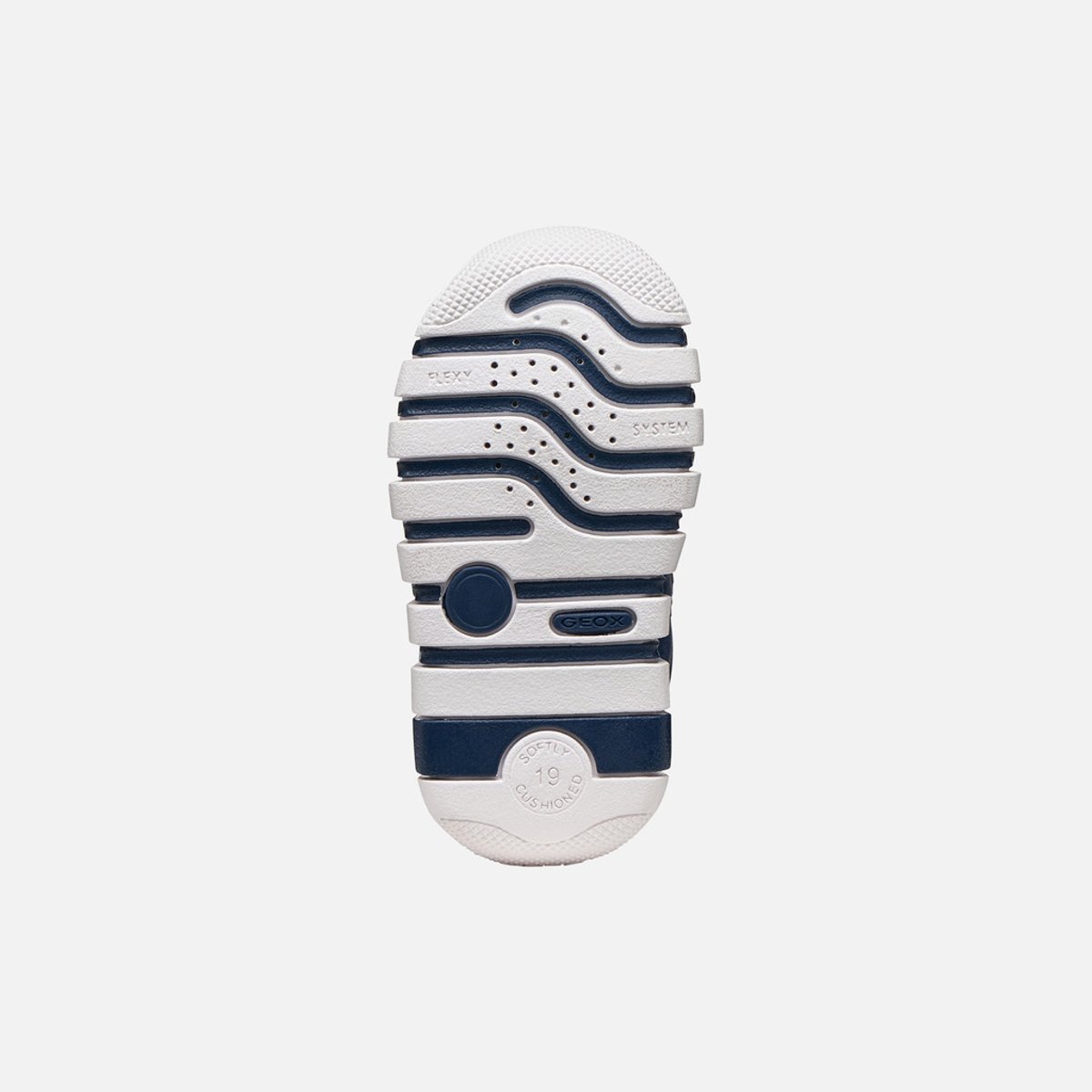 Looney Tunes  B IUPIDOO bleu marine clair, GEOX