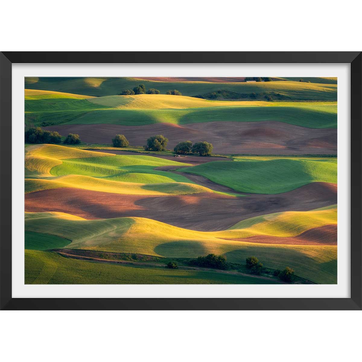 Affiche Colline colorée affiche + cadre en bois - noir, HEXOA