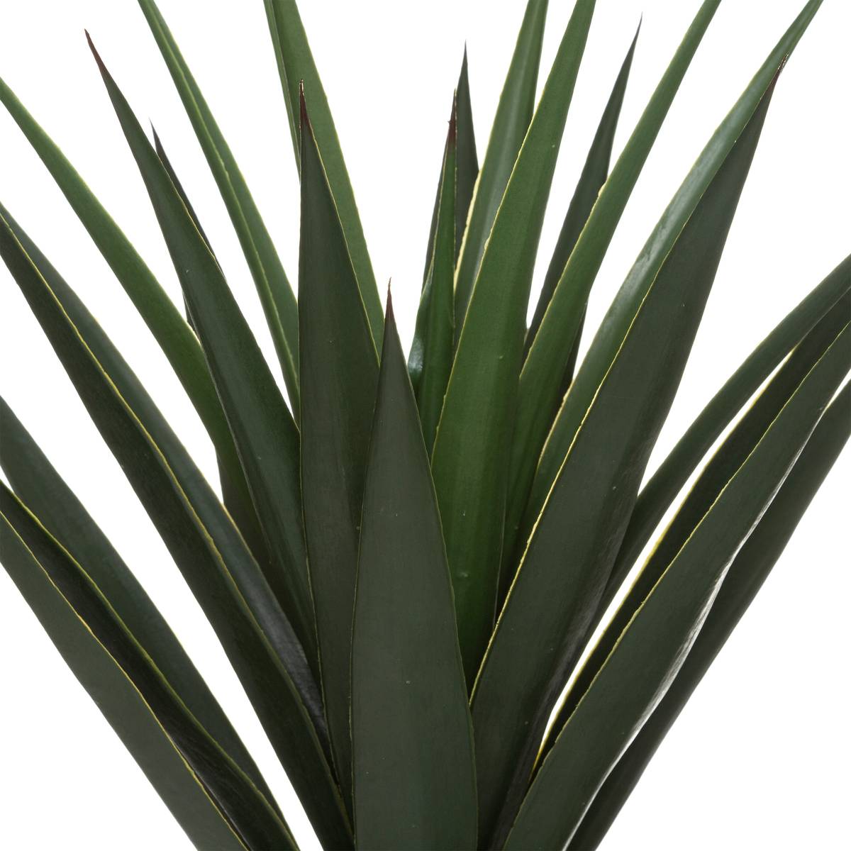 Yucca artificiel vert, ATMOSPHERA