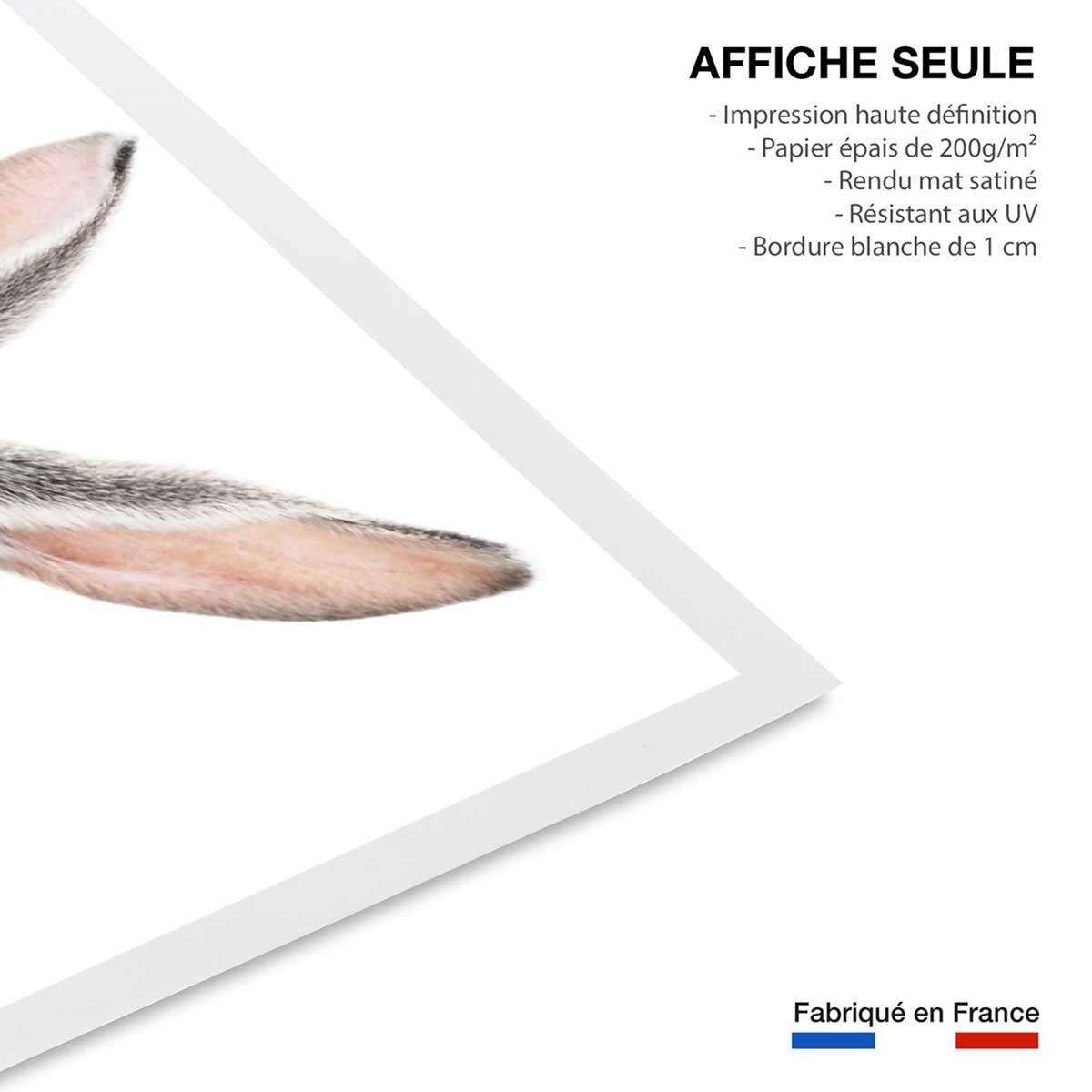Affiche enfant lapin affiche seule, HEXOA