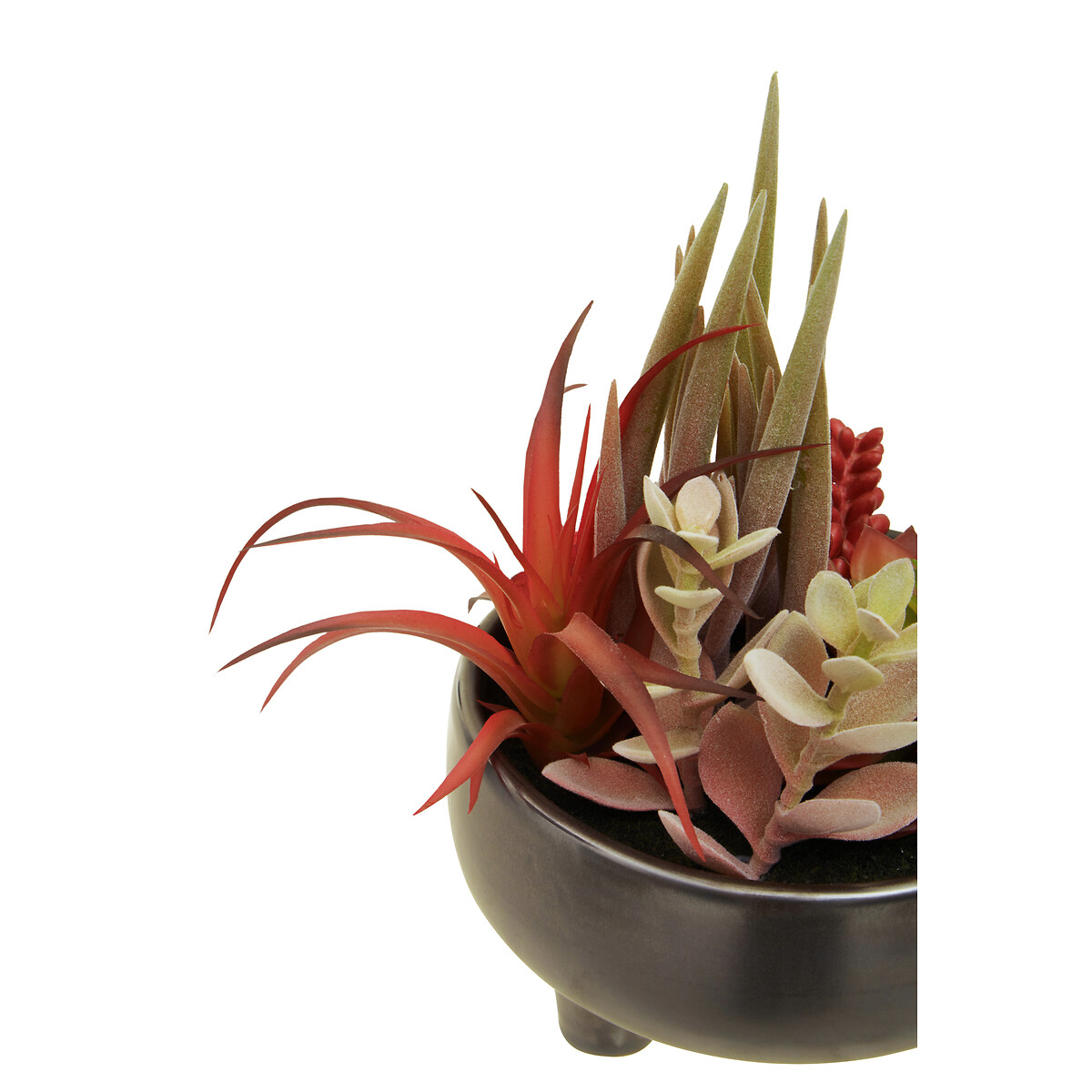 24cm Artificial Fiori Mixed Succulent in Grey Ceramic Pot multi-coloured, SO'HOME