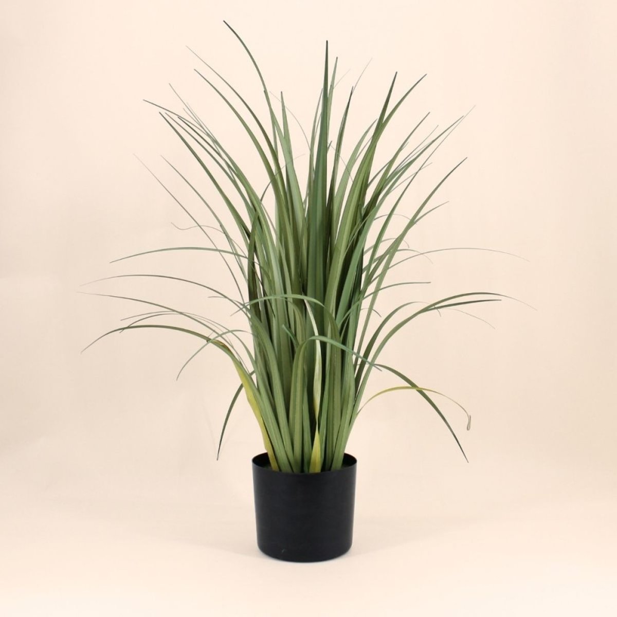 Plante artificielle acorus 80cm vert, ORNAMI