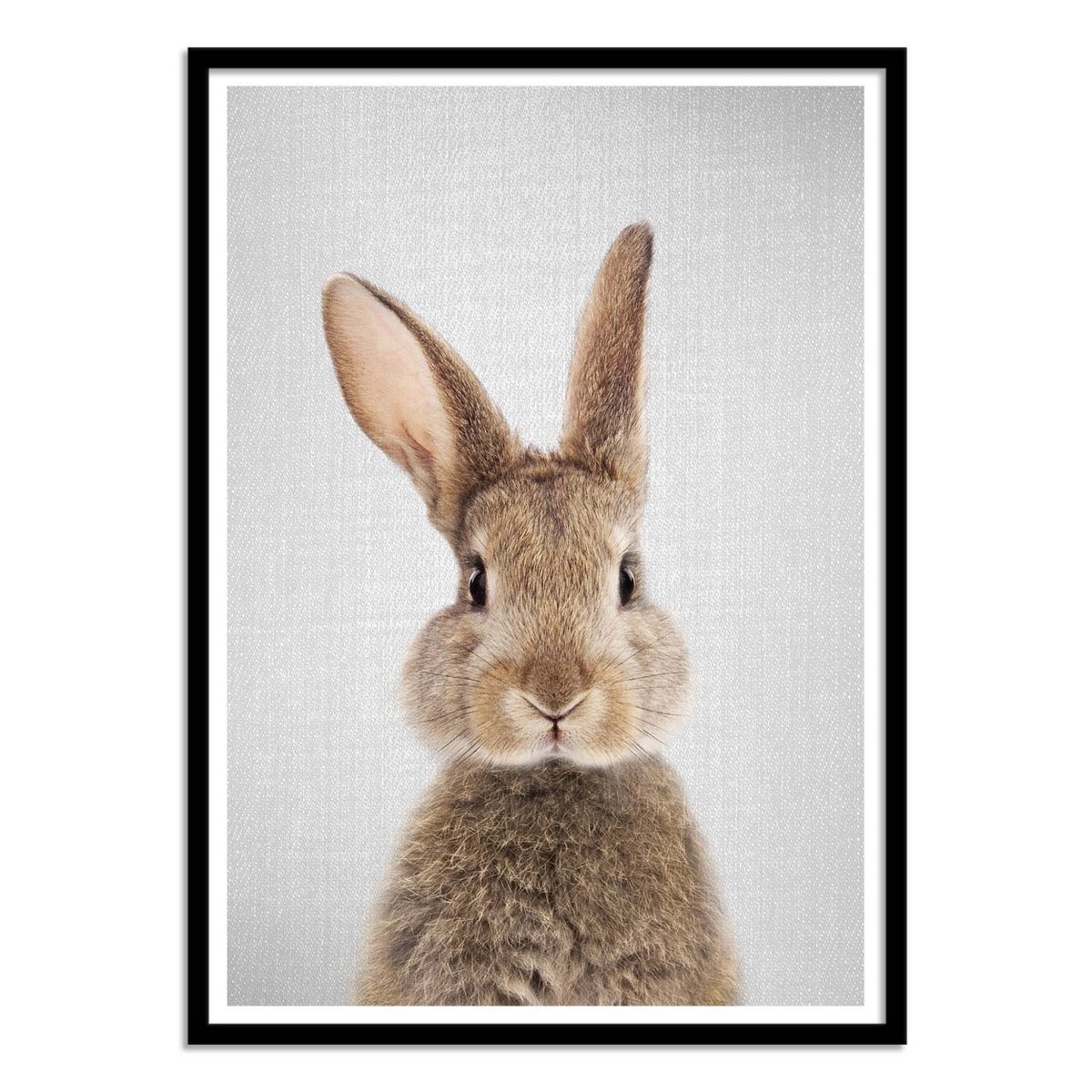 Affiche d’art et cadre noir 50 x 70 cm - Rabbit colorful - Gal Design affiche d'art, WALL EDITIONS