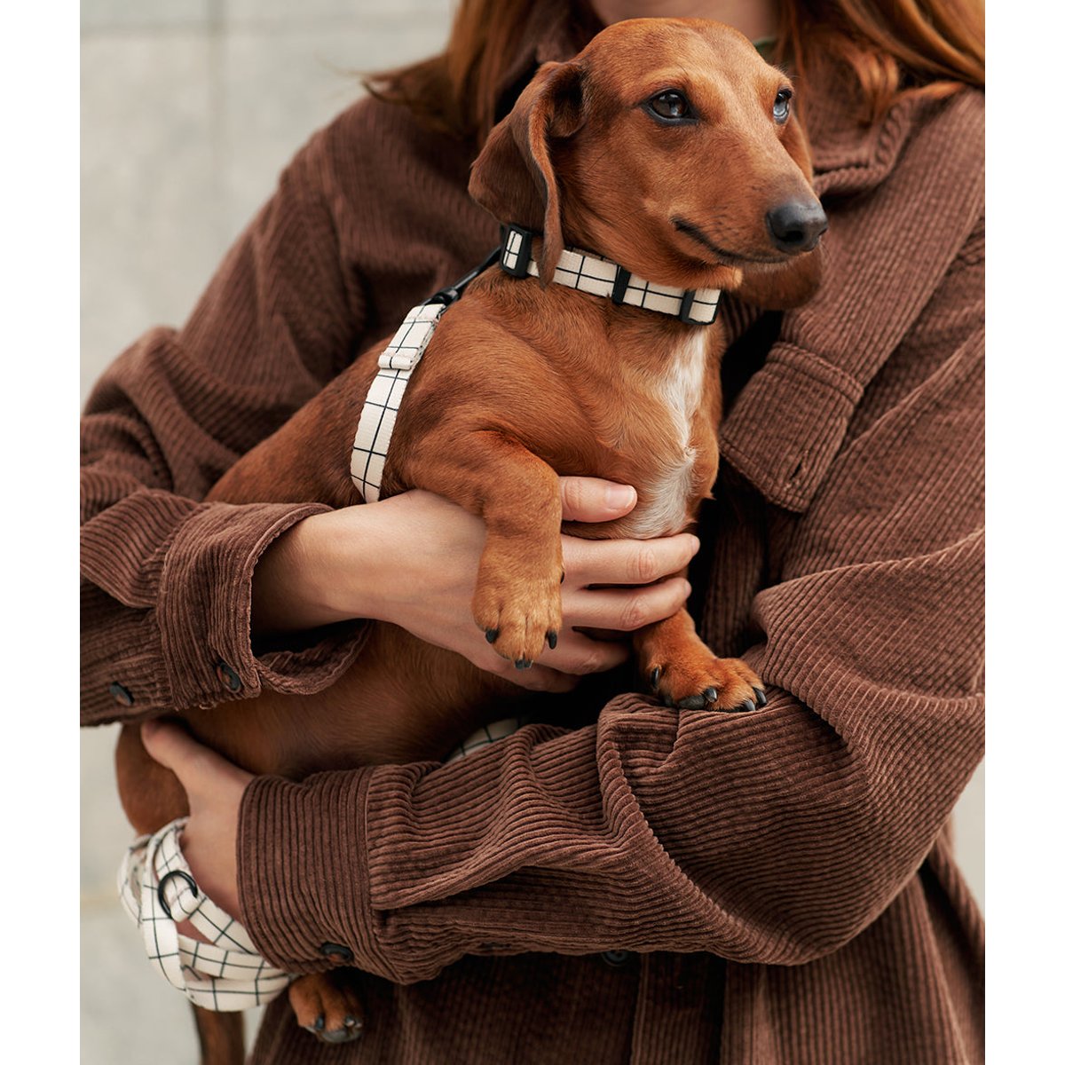 Collier PET recyclé linéaire design, JUNO beige, CAFIDE