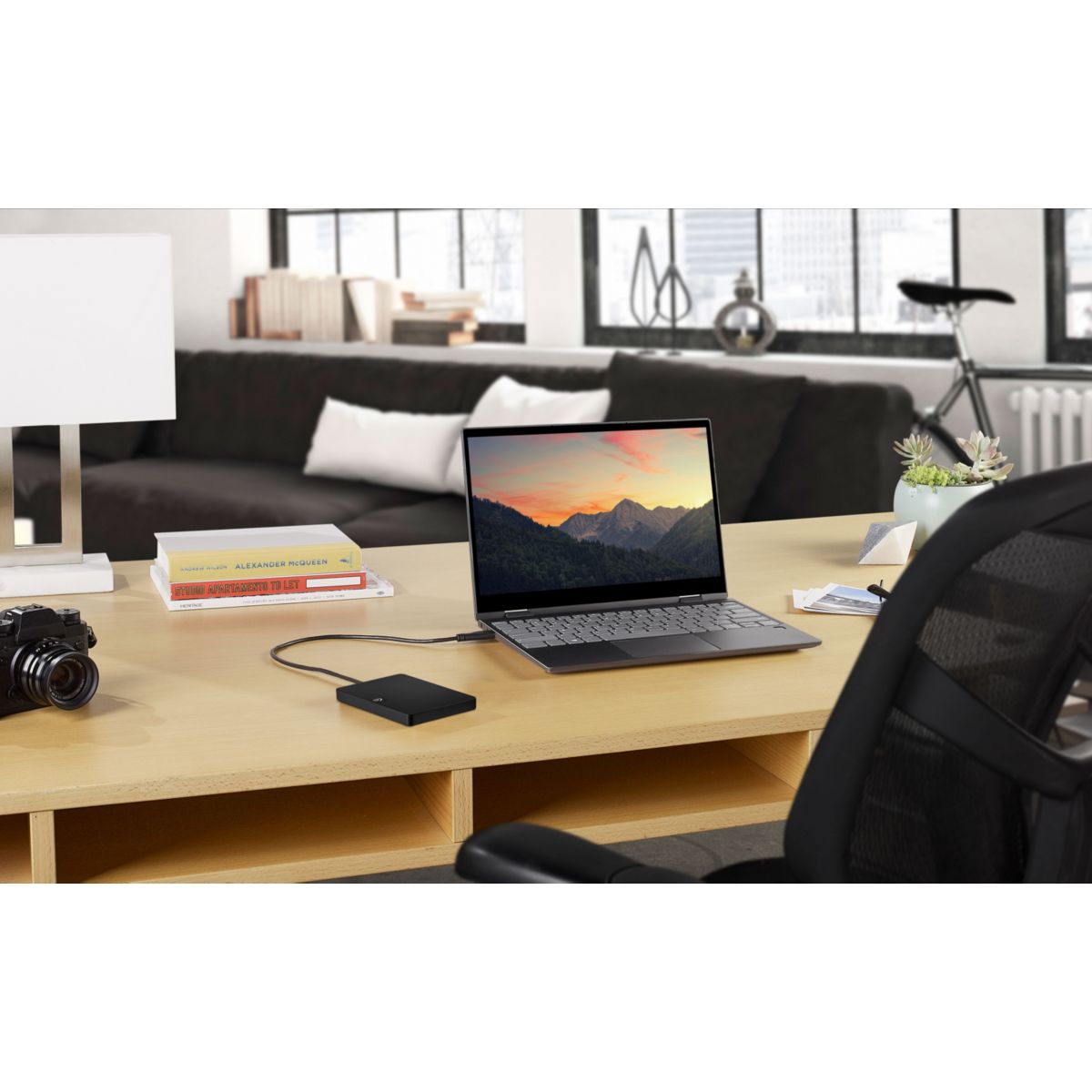 Disque dur externe 1To Expansion Portable Drive couleur unique, SEAGATE