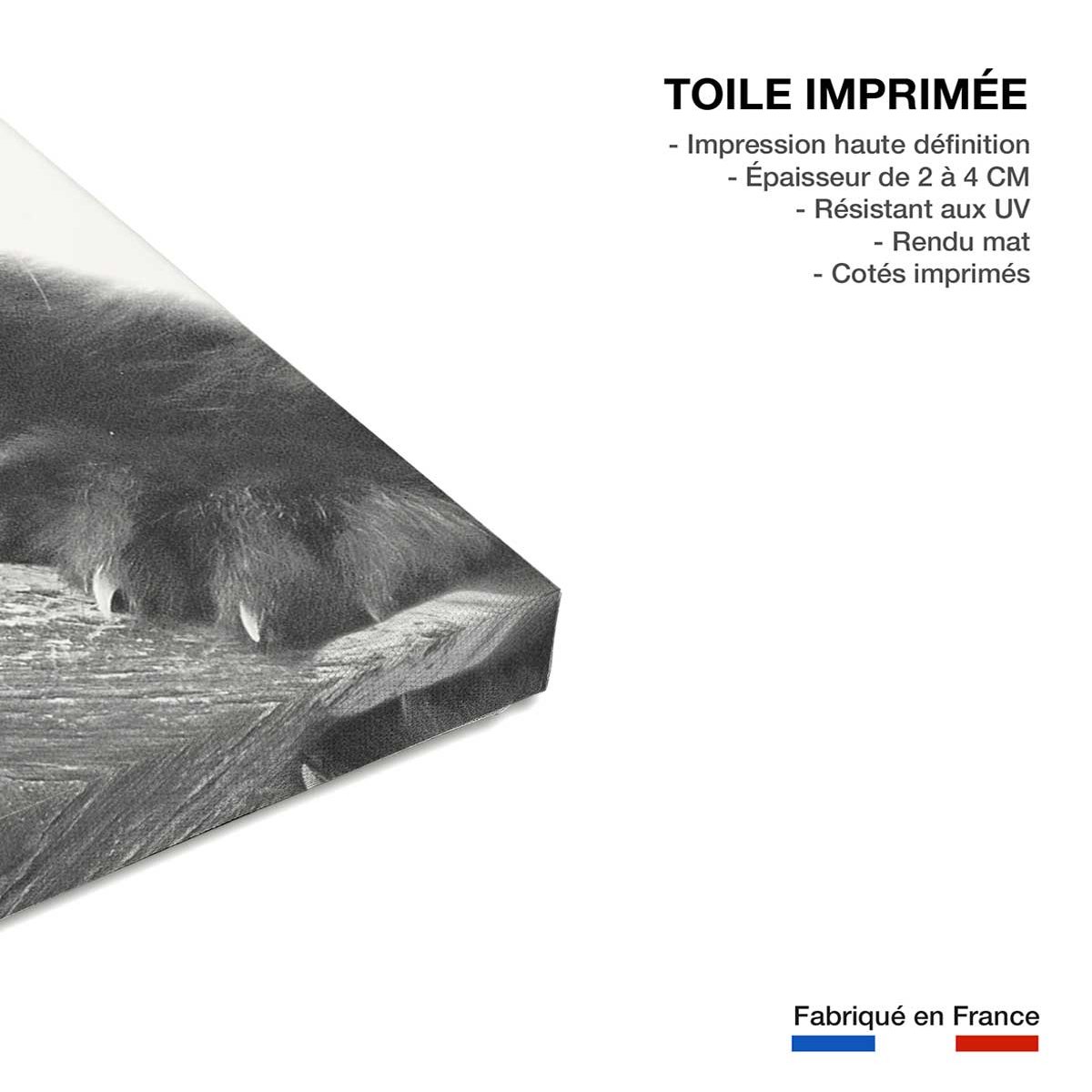 Tableau animaux panda roux toile imprimée, HEXOA