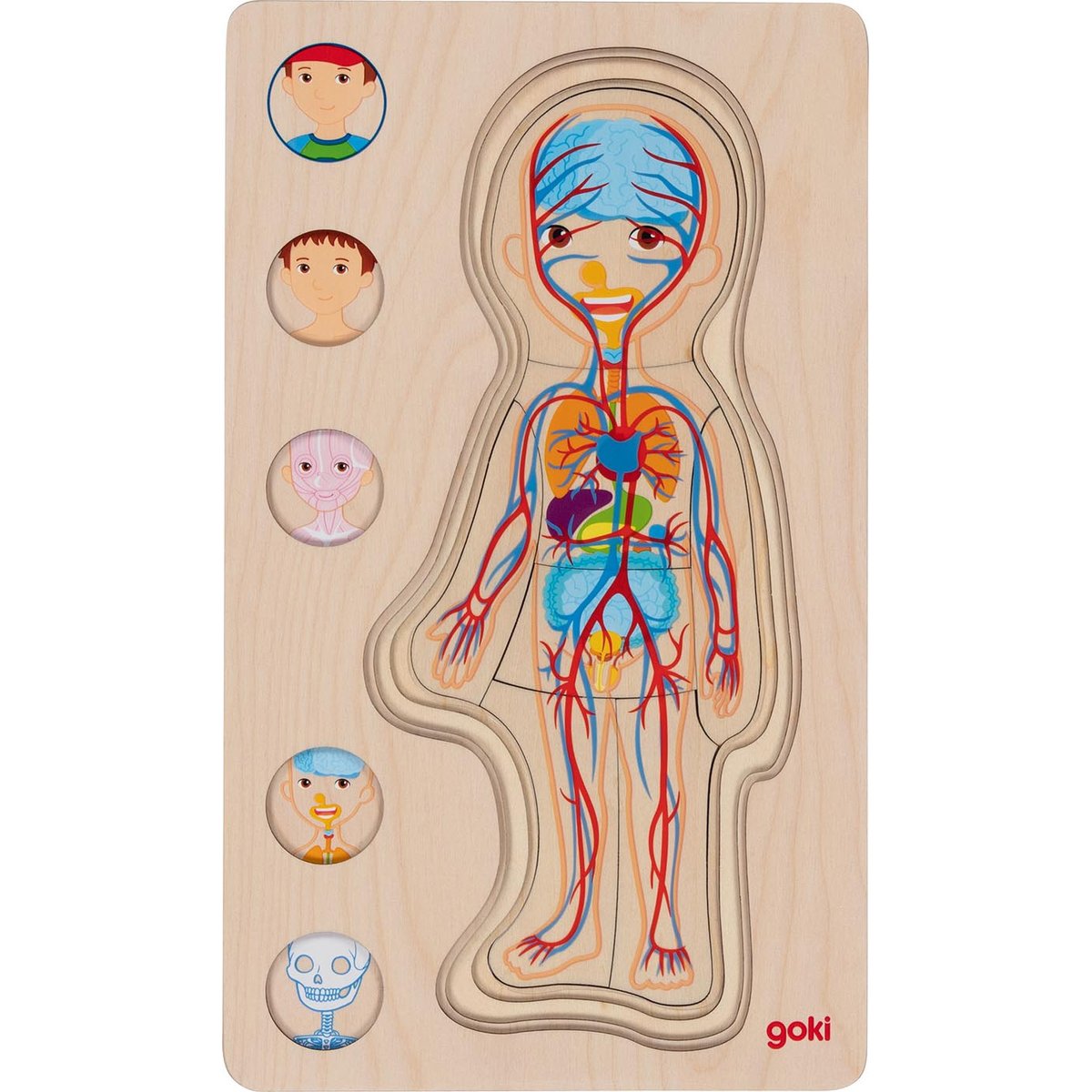Puzzle corps humain, garçon beige, GOKI