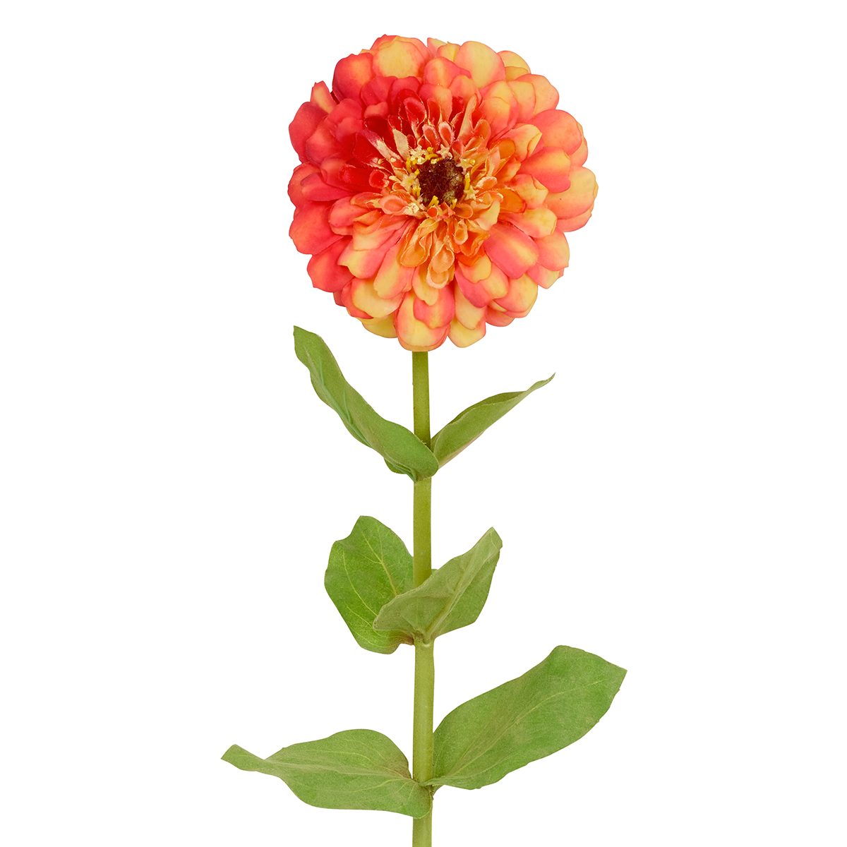 Tige de zinnia artificielle H68 orange, SIA DECO