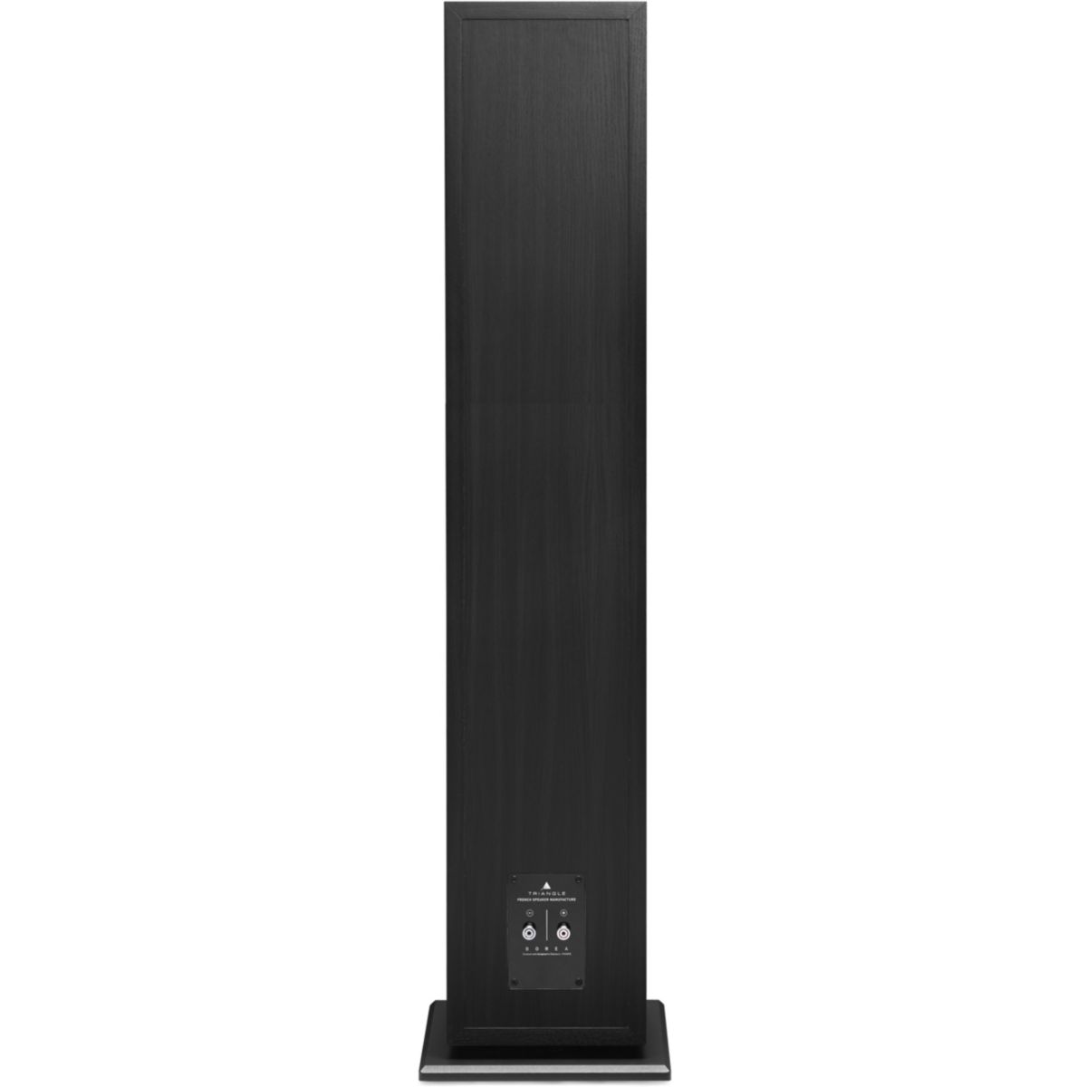 Enceinte colonne Borea BR09 noire (x1) couleur unique, TRIANGLE