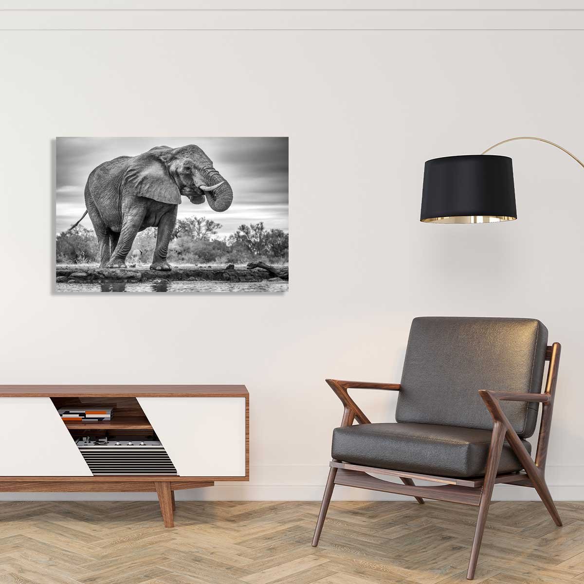 Tableau animaux standing proud tableau alu dibond, HEXOA