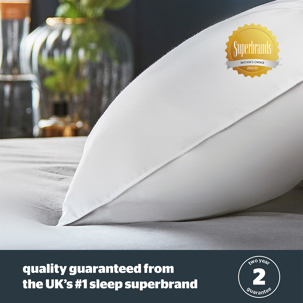 Duck Feather and Down Anti Allergy Pillow Pair white, SILENTNIGHT