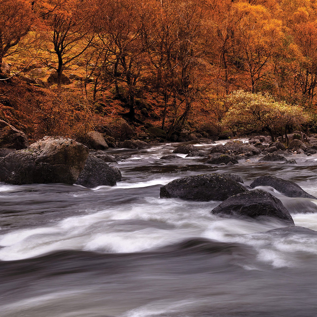 Papier peint rivière en automne intissé, HEXOA