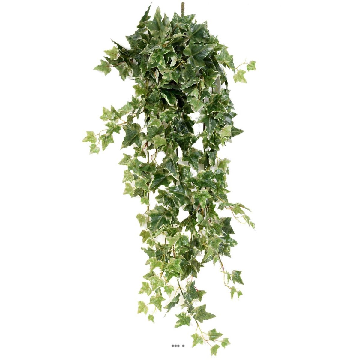 Lierre artificiel Hedera Helix en chute L 120 blanc-vert, ARTIFICIELLES