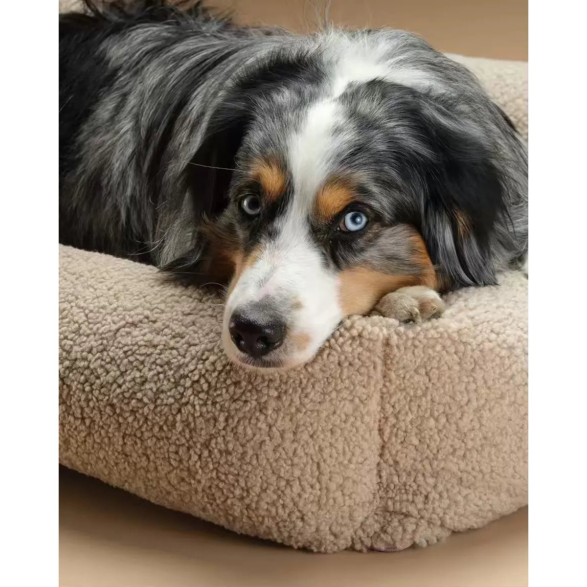 Lit douillet pour animaux L en Teddy biscuit, WIGIWAMA