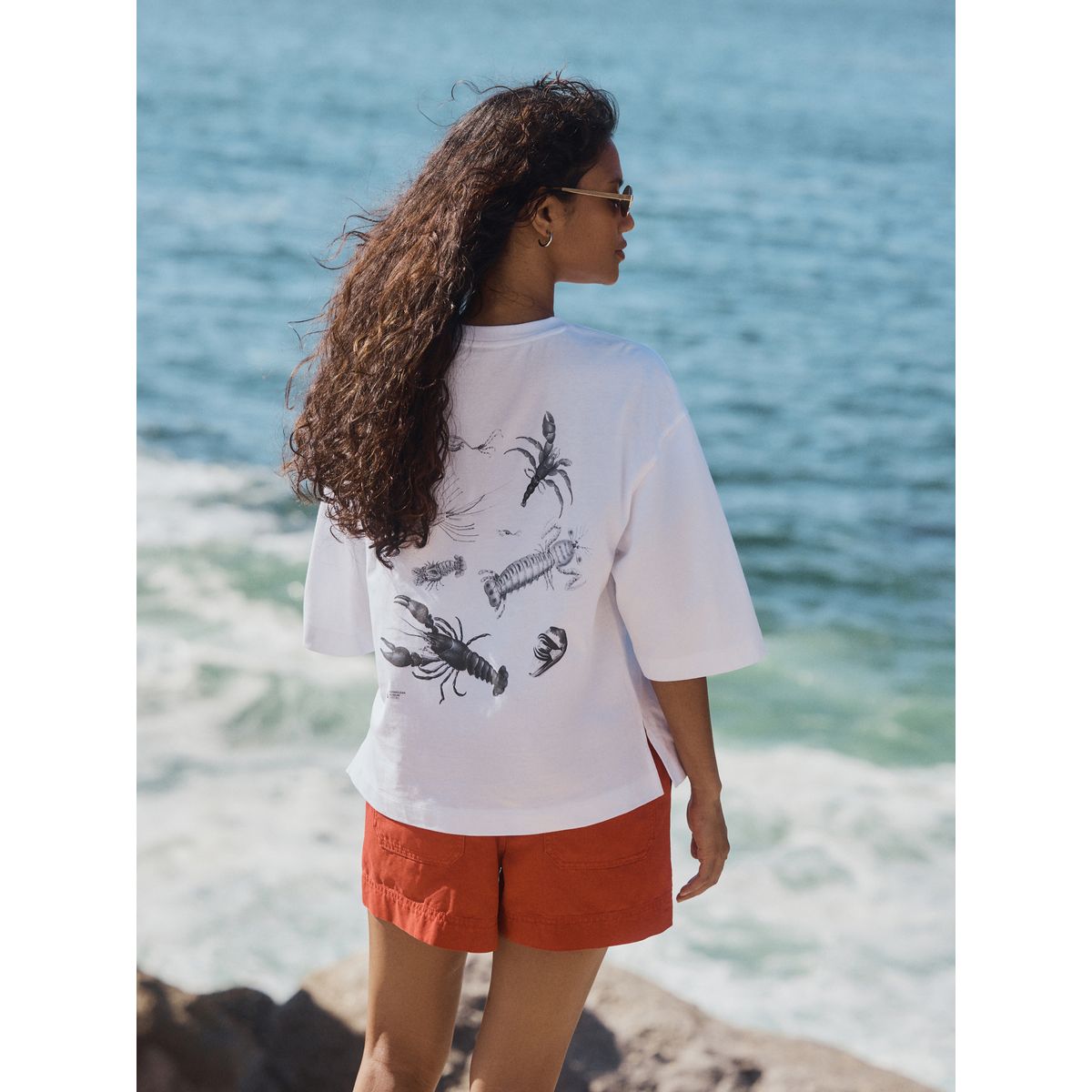 T-shirt à manches mi-longues licence officielle blanche ashmoleon, NEXT