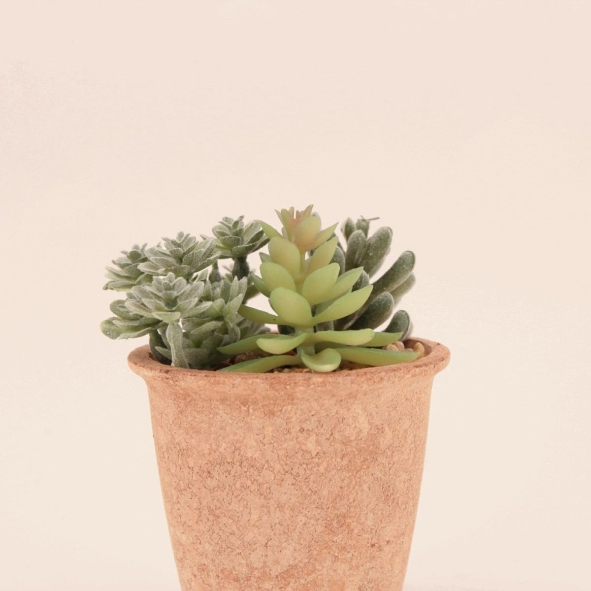 Plantes grasses artificielles 18cm vert, ORNAMI