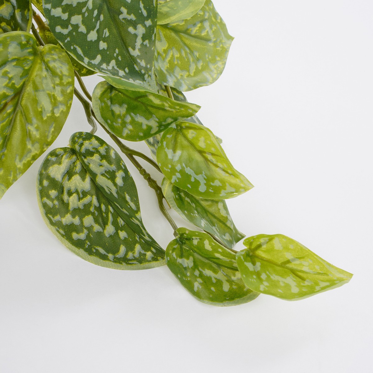Plante artificielle SCINDAPSUS vert, MICA DECORATIONS