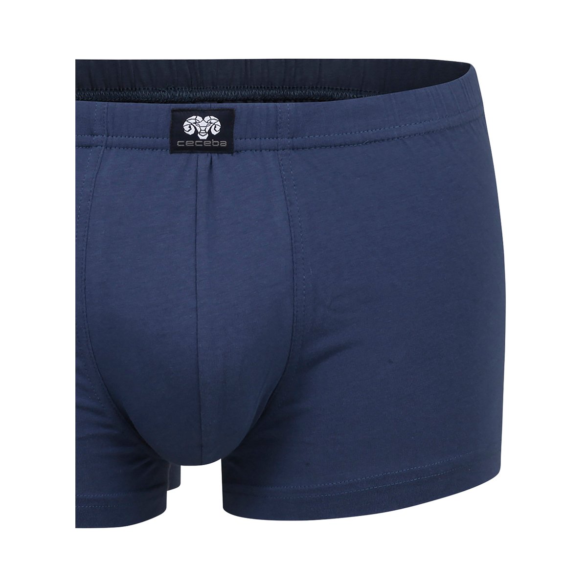 Boxer bleu, CECEBA