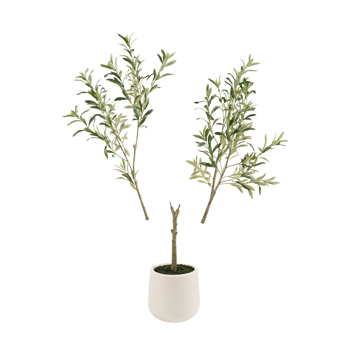 150cm Artificial Olive Tree in Cream Pot green, SO'HOME