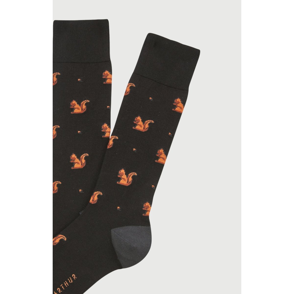 Chaussettes en coton imprimé Ecureuil noir, ARTHUR