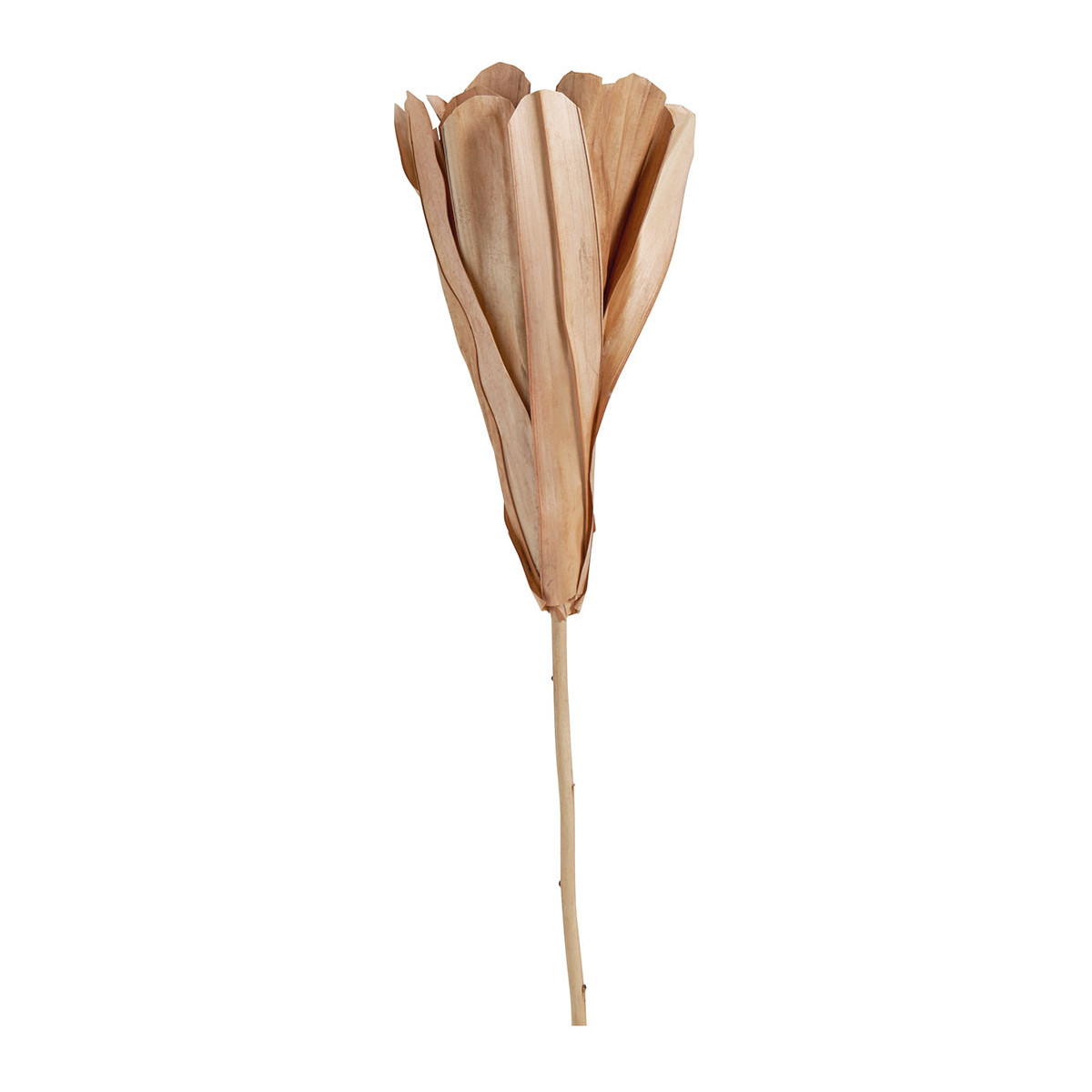 Bouquet de 3 déco végétales séchées rose, MATHILDE M