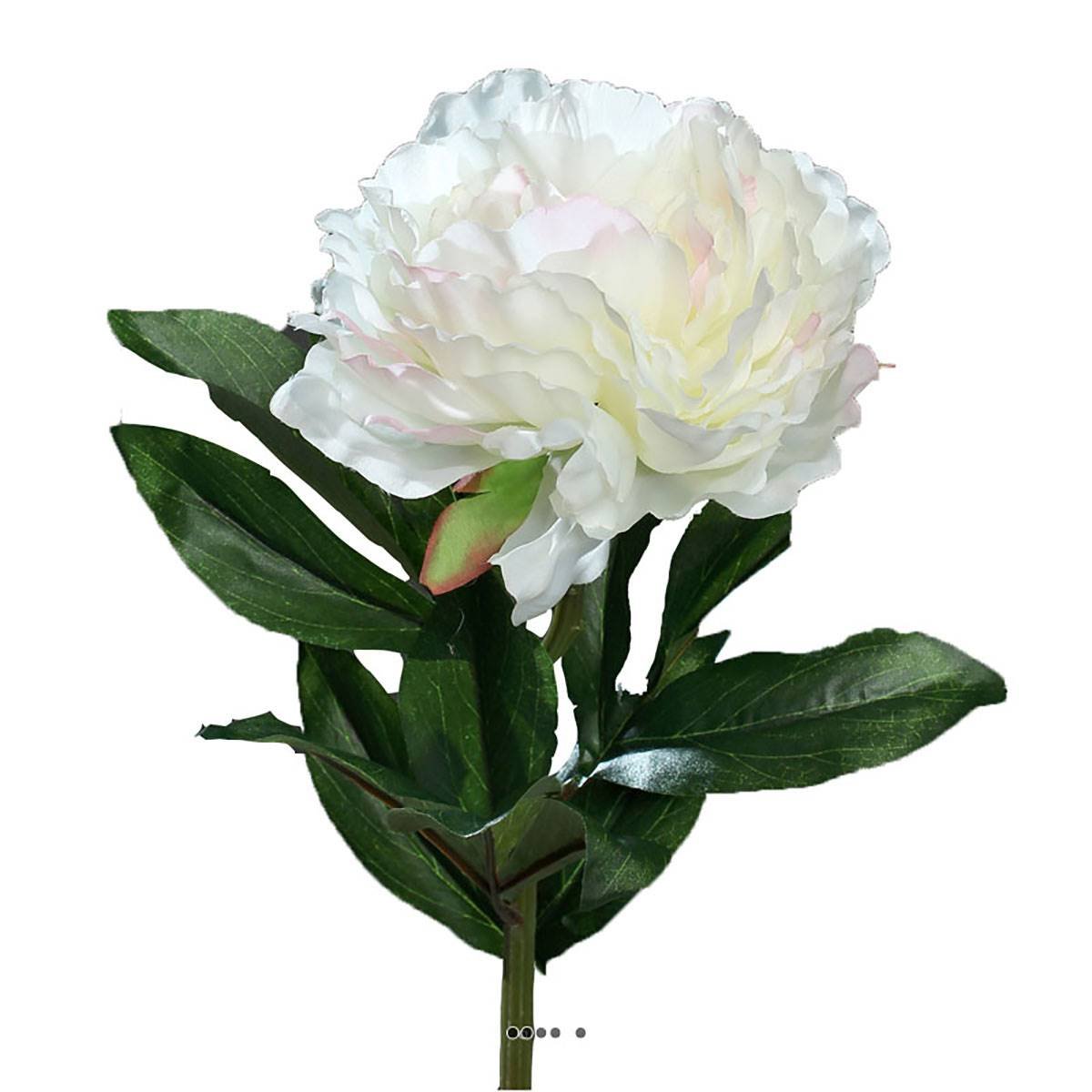 Pivoine artificielle crème Rose H 63 cm rose-crème, ARTIFICIELLES