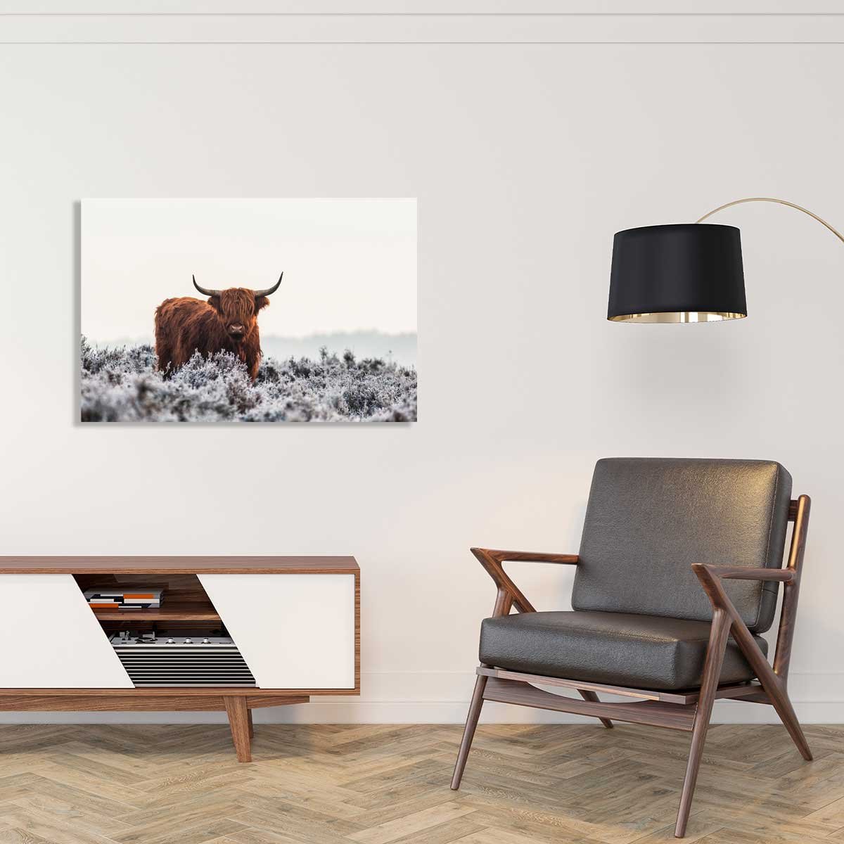 Tableau vache Highland tableau alu dibond, HEXOA